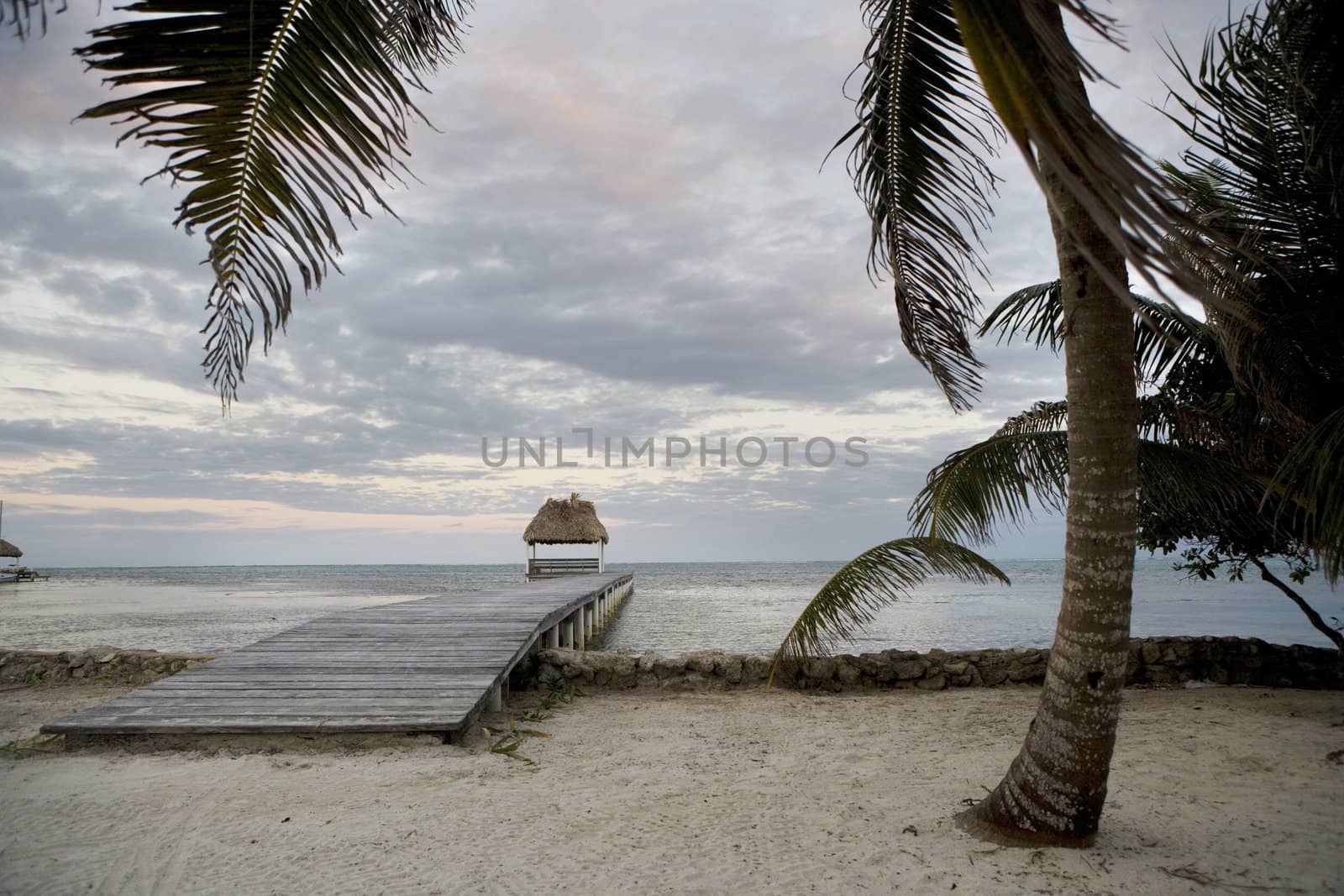 Palm trees and wooden piers along a beautiful beach in the Gulf of Mexico at sunset.