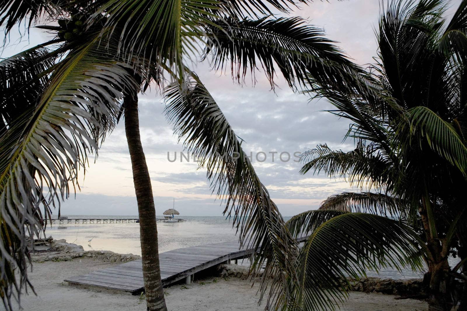 Palm trees and wooden piers along a beautiful beach in the Gulf of Mexico at sunset.