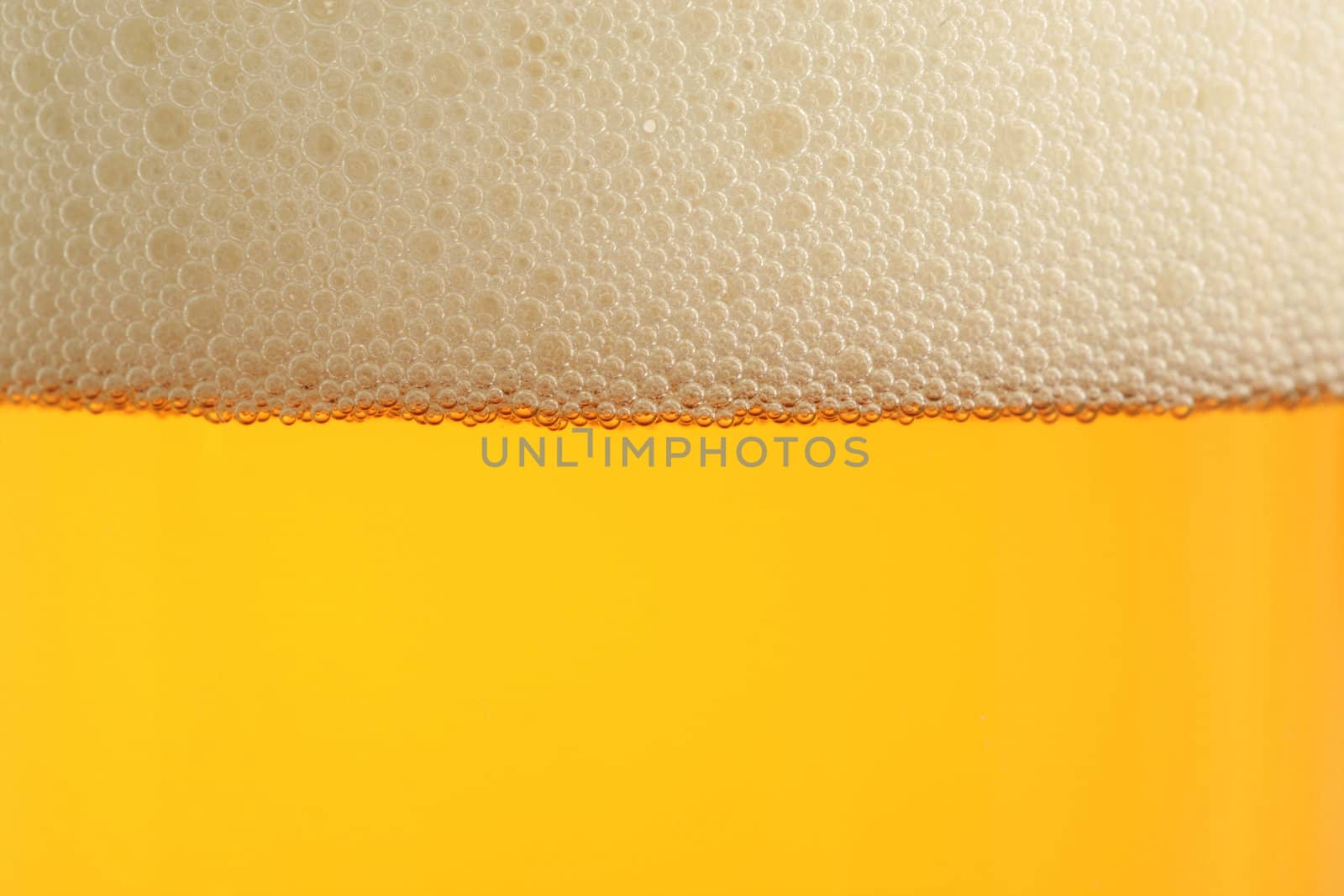 beer by RainerPlendl