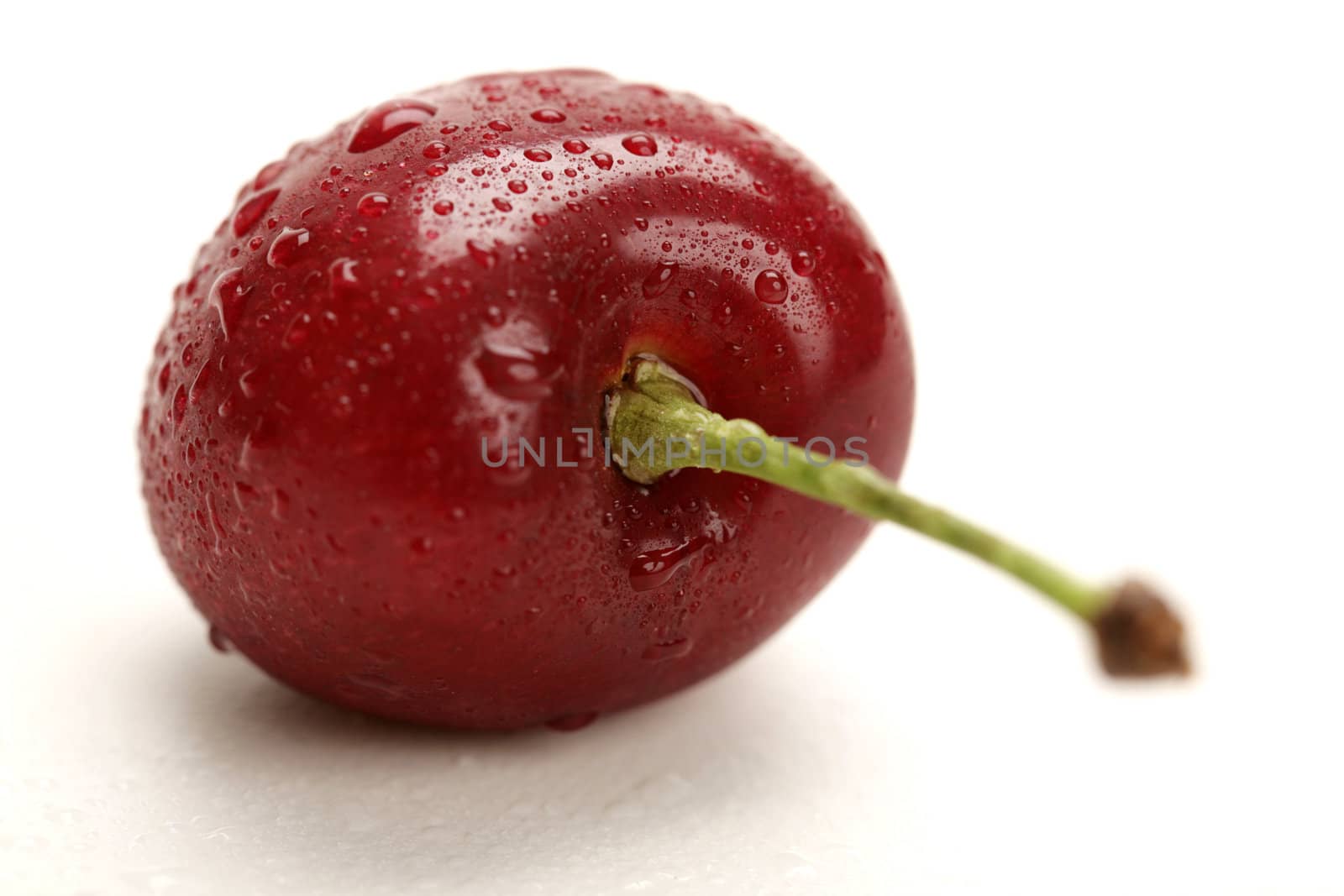 single fresh cherry with water drops