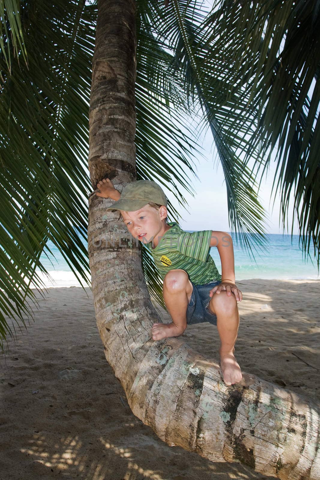 Boy on palm tree by ints