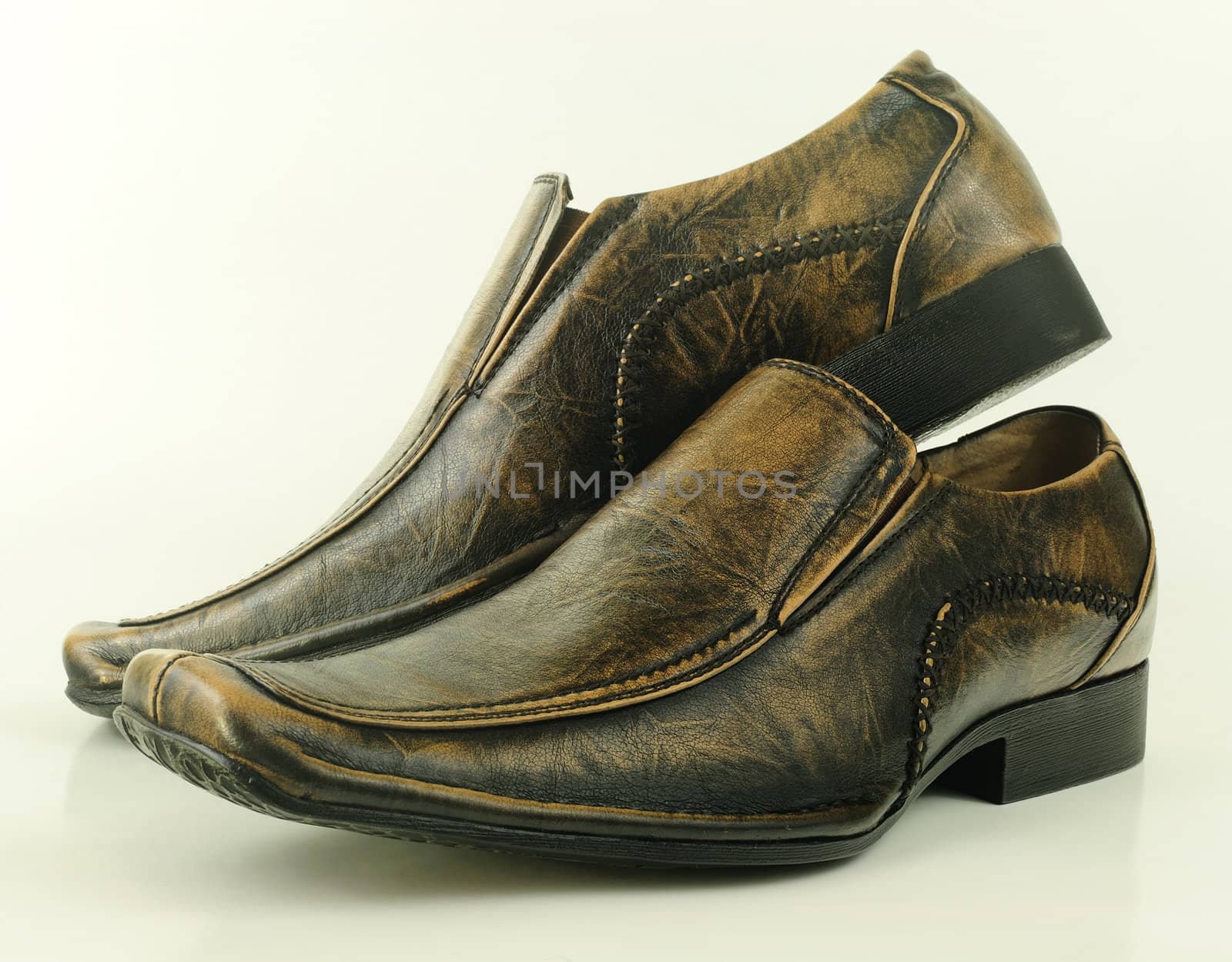 stylish pair of shoes by neelsky