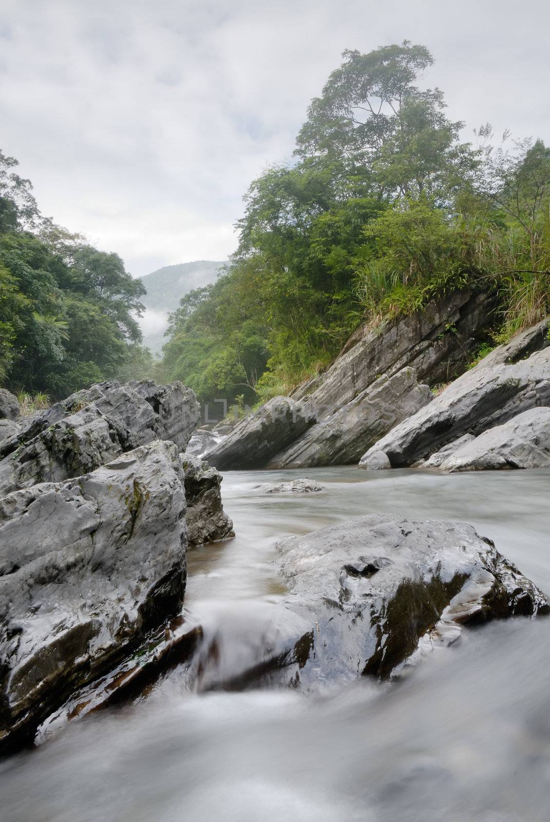 It is a beautiful river flow over the forest.