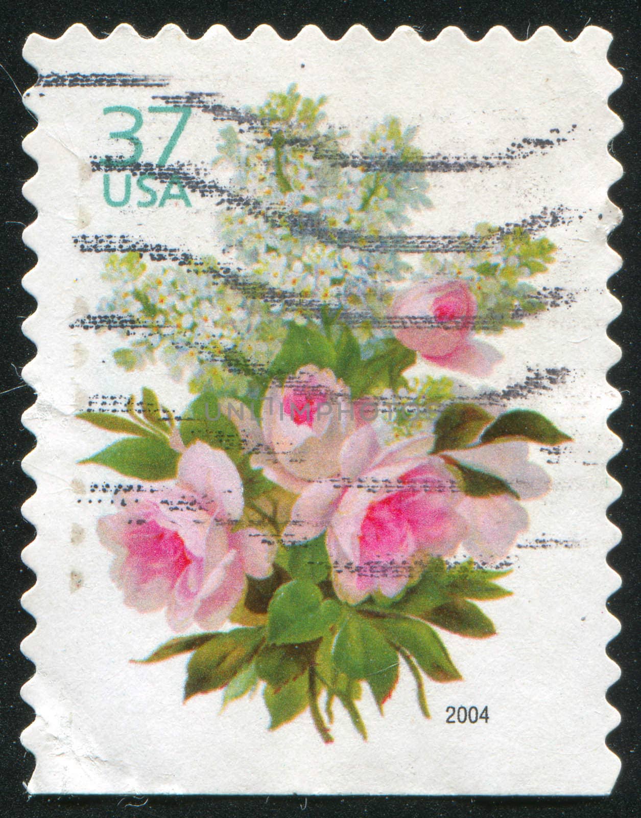 UNITED STATES - CIRCA 2004: stamp printed by United states, shows rose, circa 2004