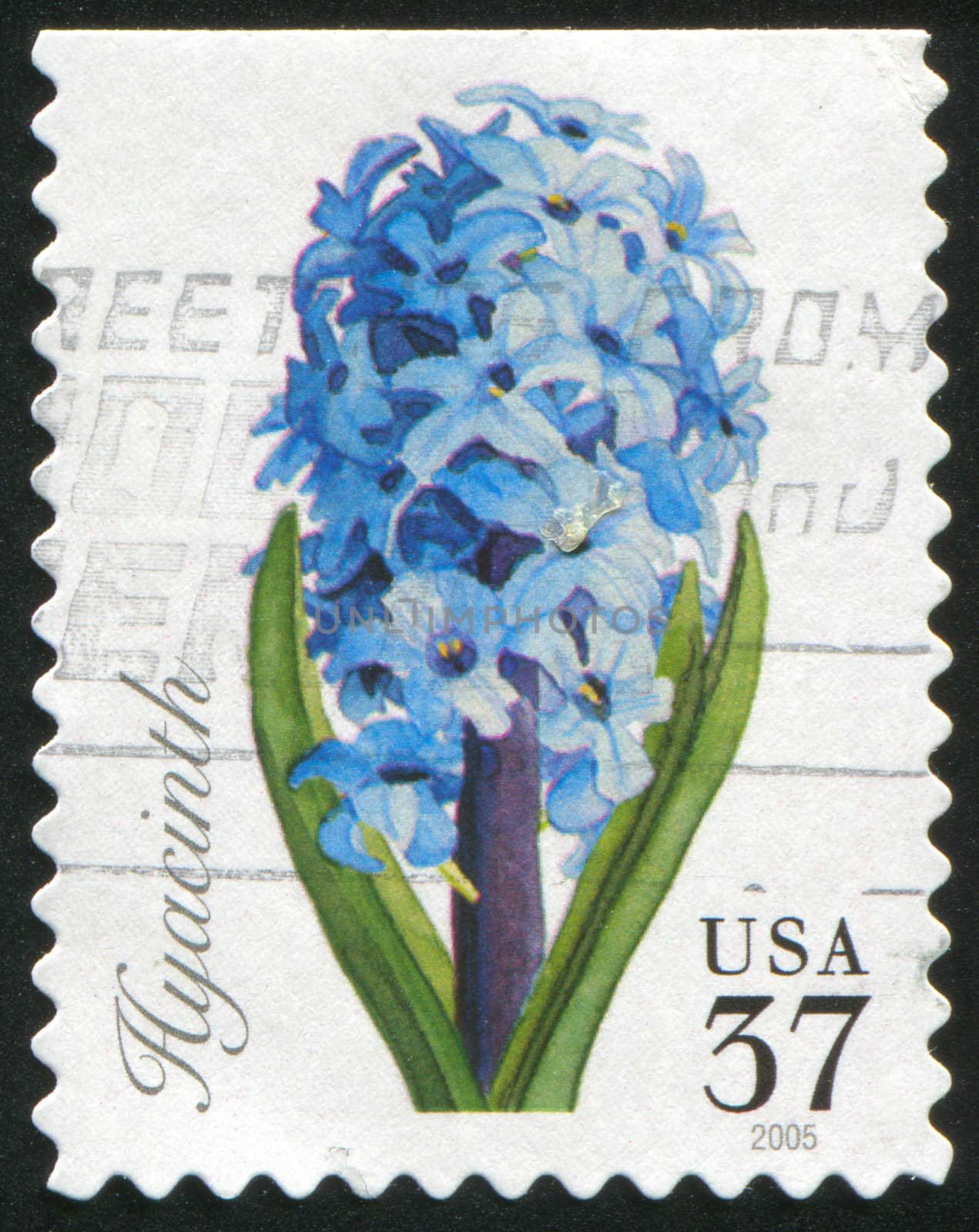 UNITED STATES - CIRCA 1999: stamp printed by United states, shows Hyacinth, circa 1999