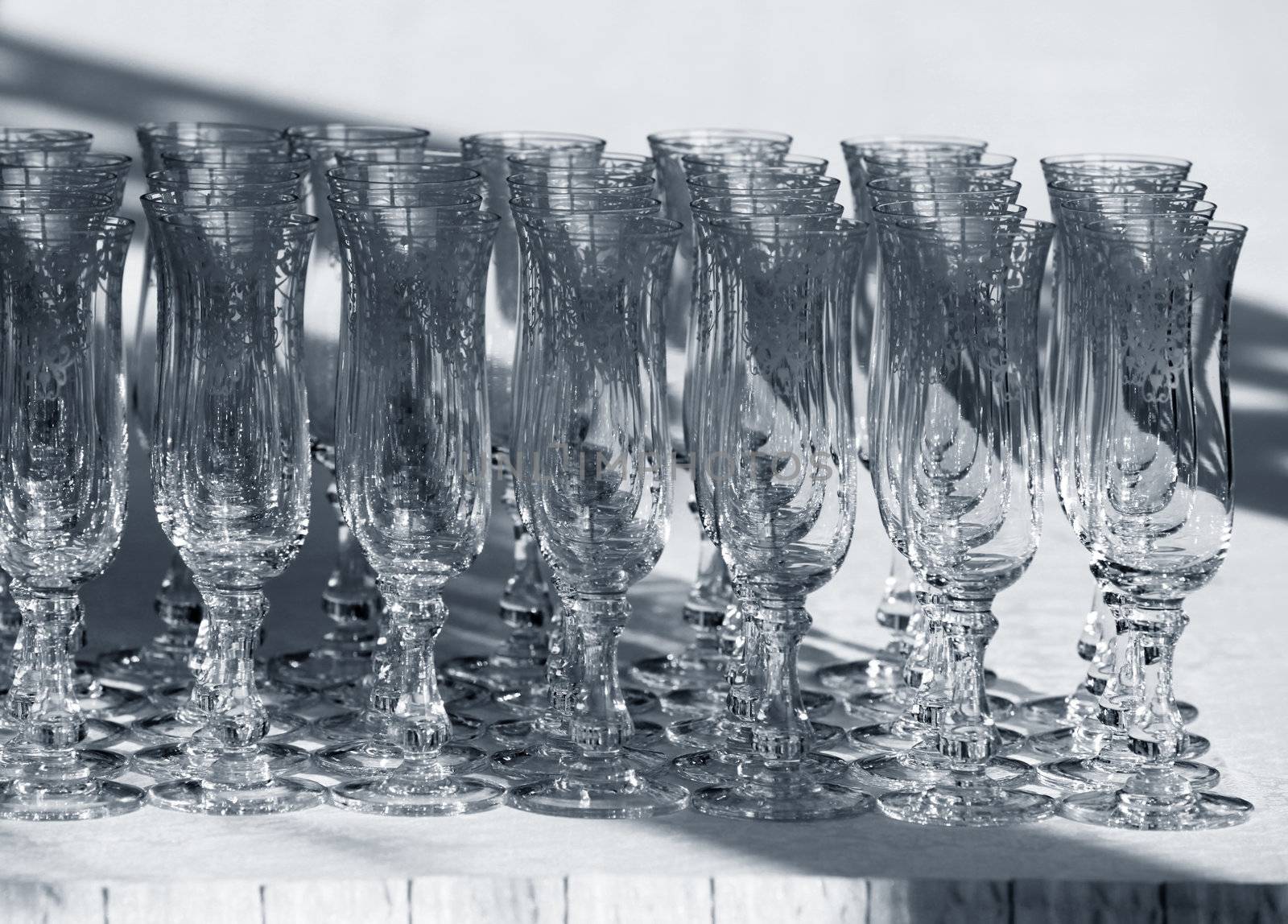 Wine glasses in lines. B/w + blue tone