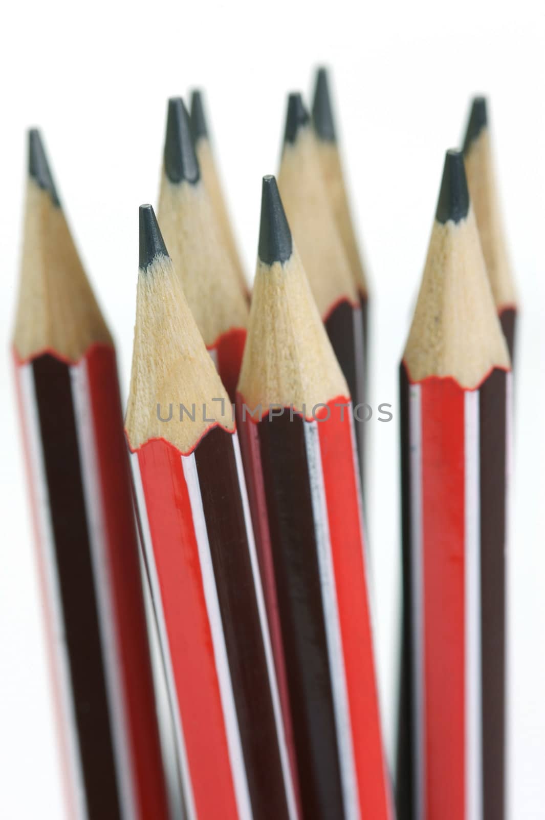 Lead pencils isolated against a white background