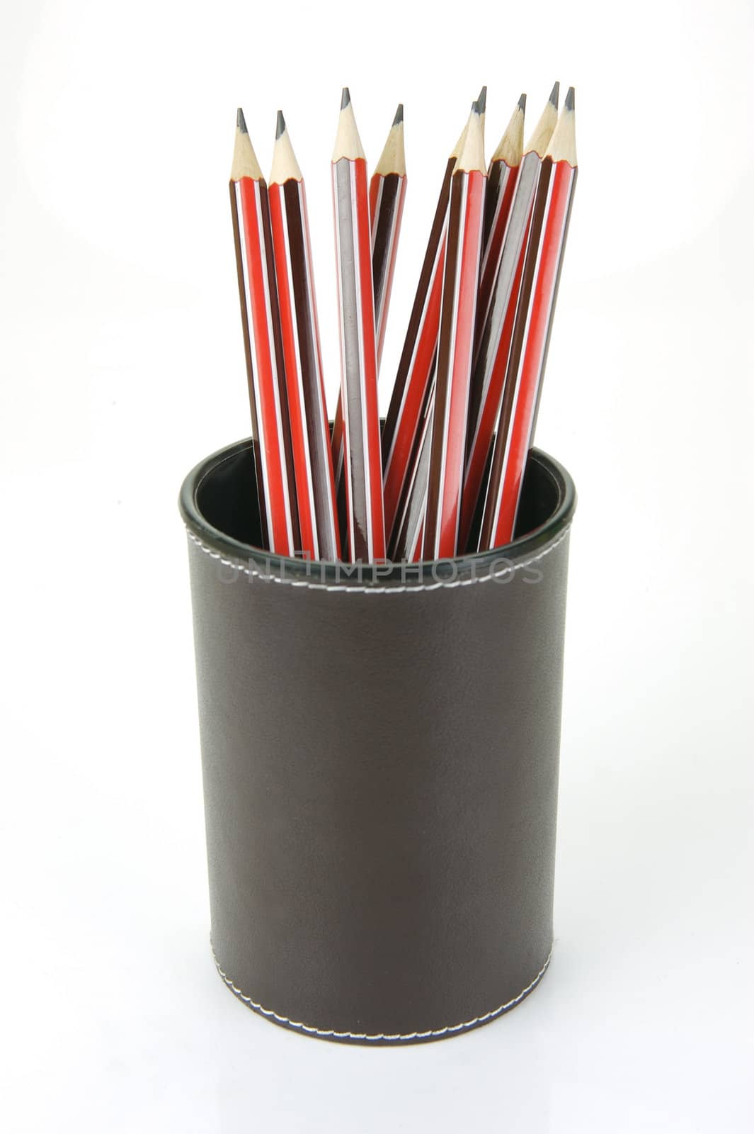 Lead pencils in a cup holder isolated against a white background