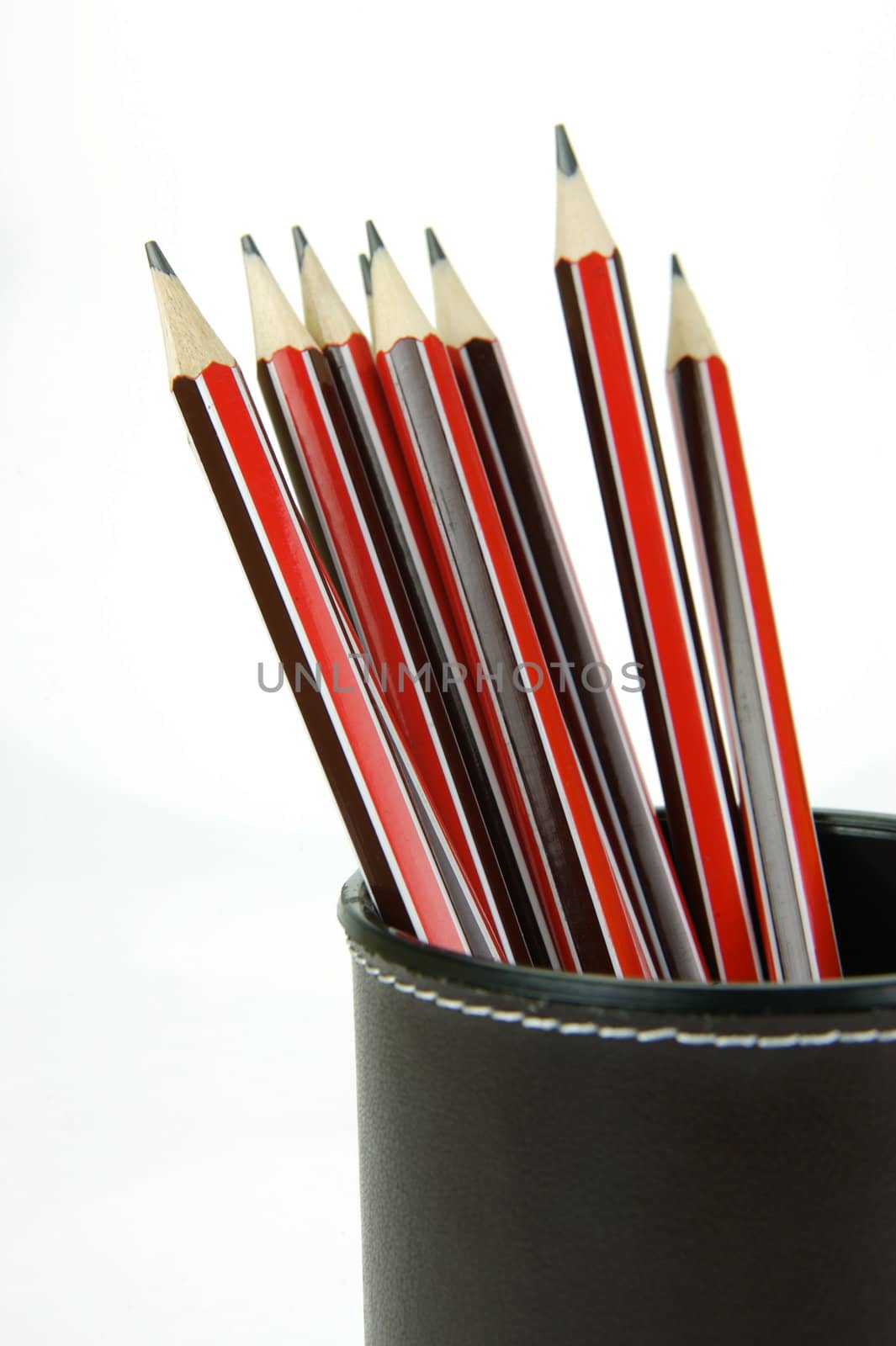 Lead pencils in a cup holder isolated against a white background
