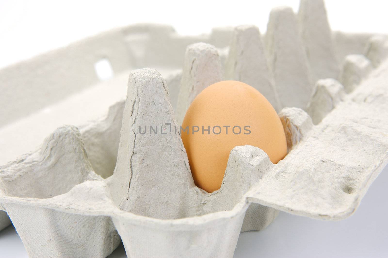 Free range eggs isolated against a white background
