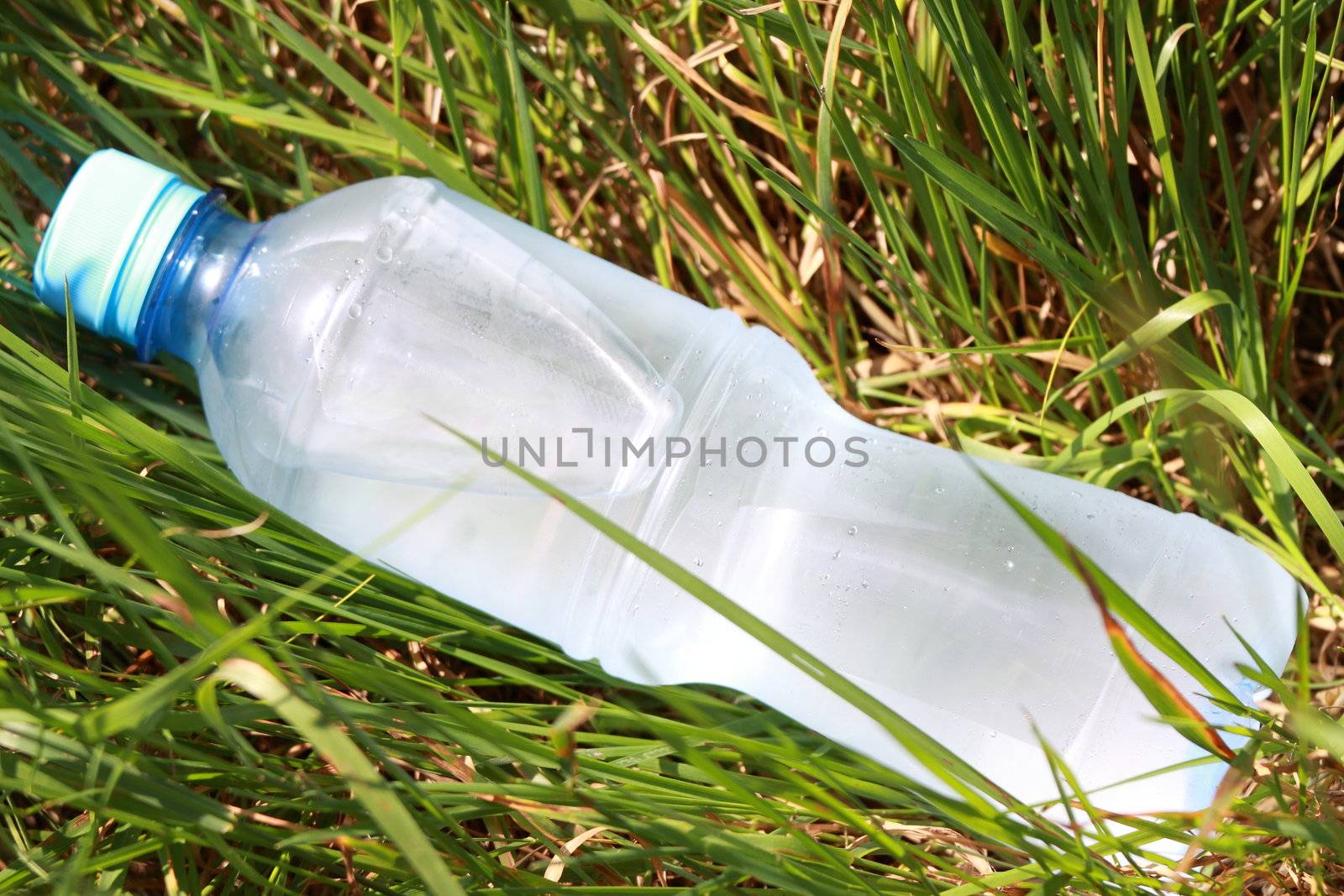 Cold water bottle lays among a grass (natural)