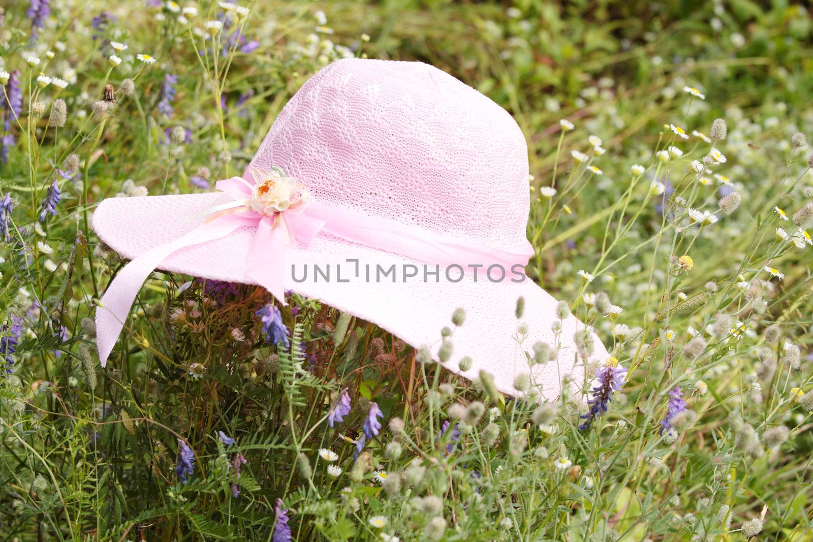 A summer pink hat laying at meadow by BDS