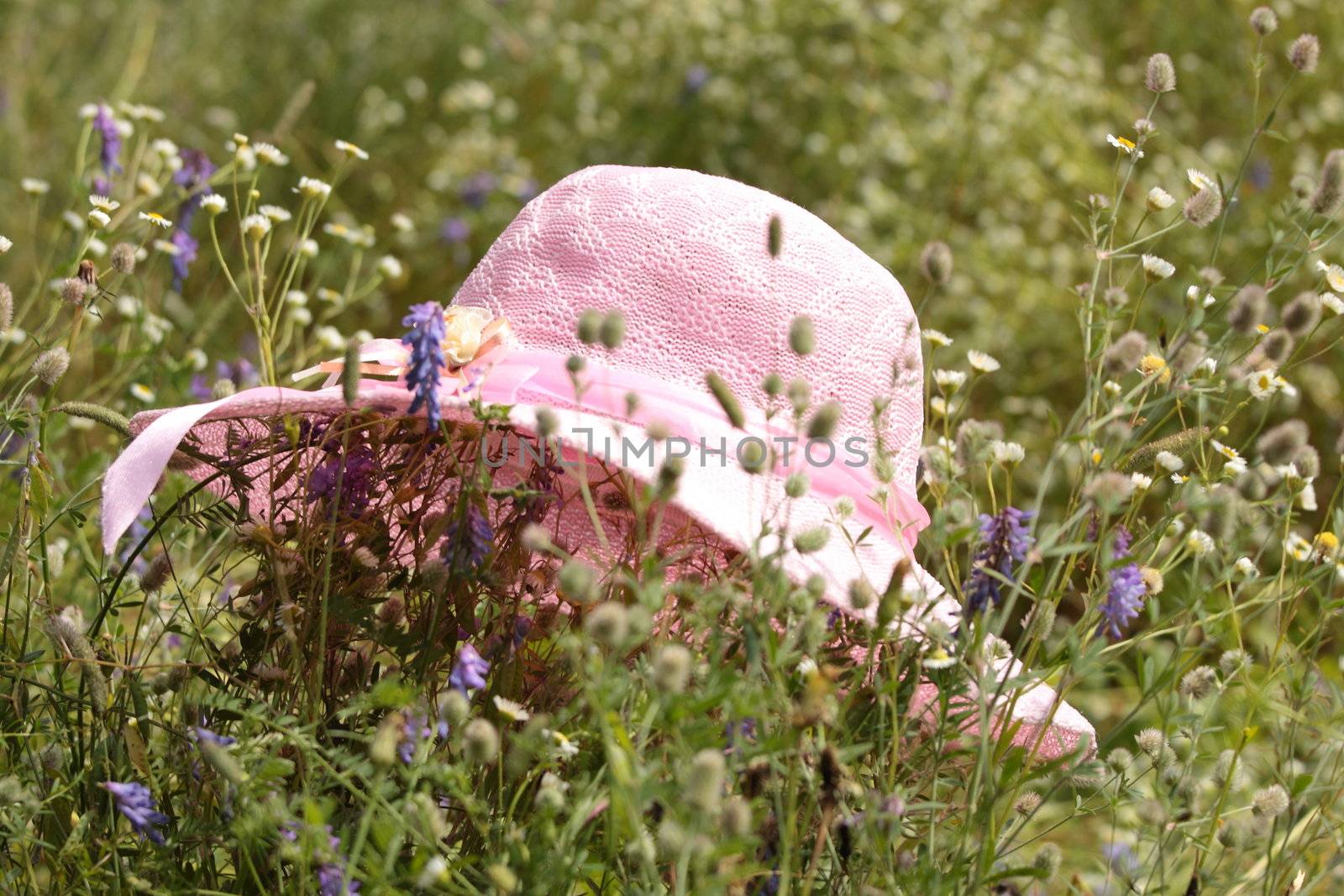 A summer pink hat laying at meadow full of flowers