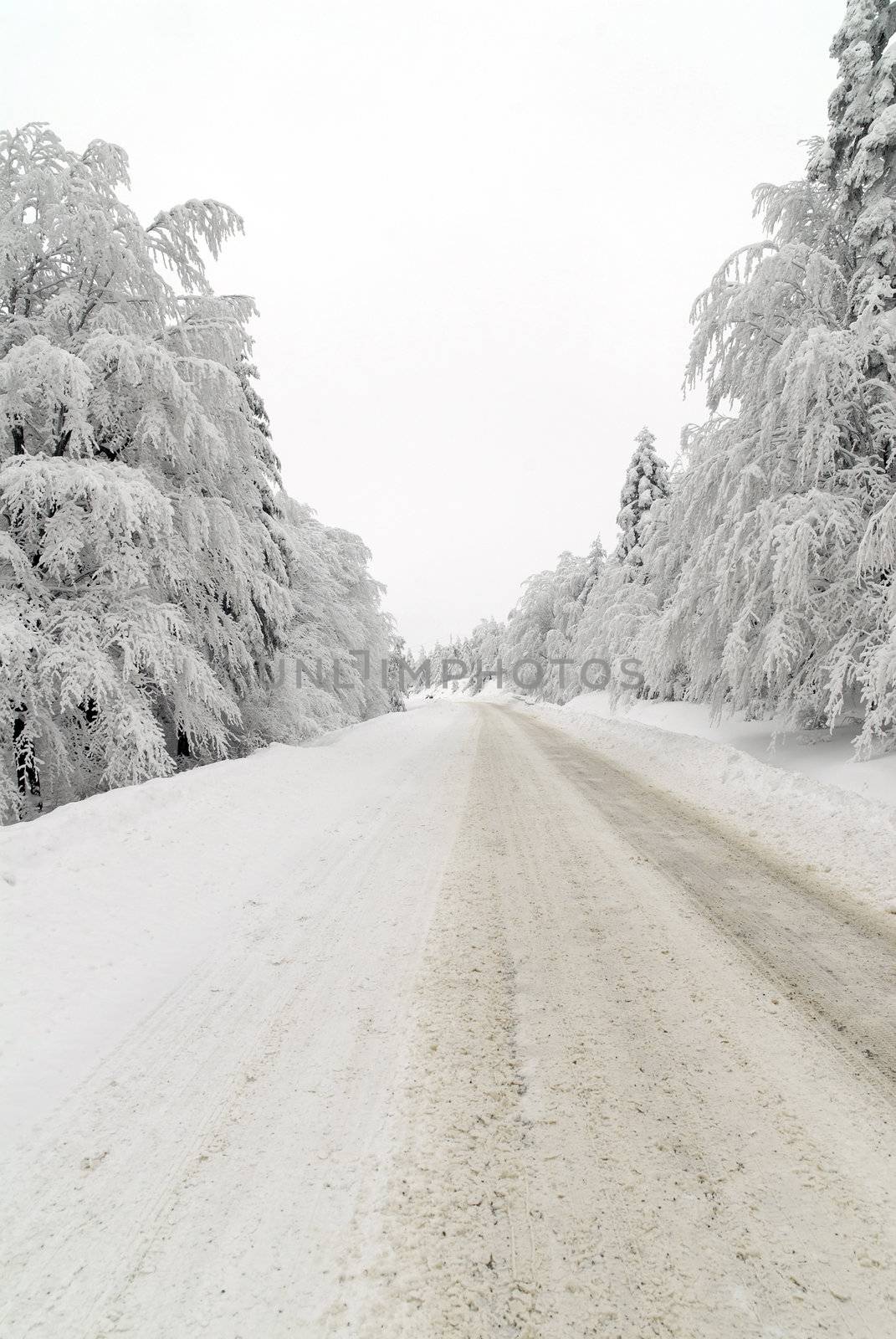 Traffic road in frost and snow, mountain, forest