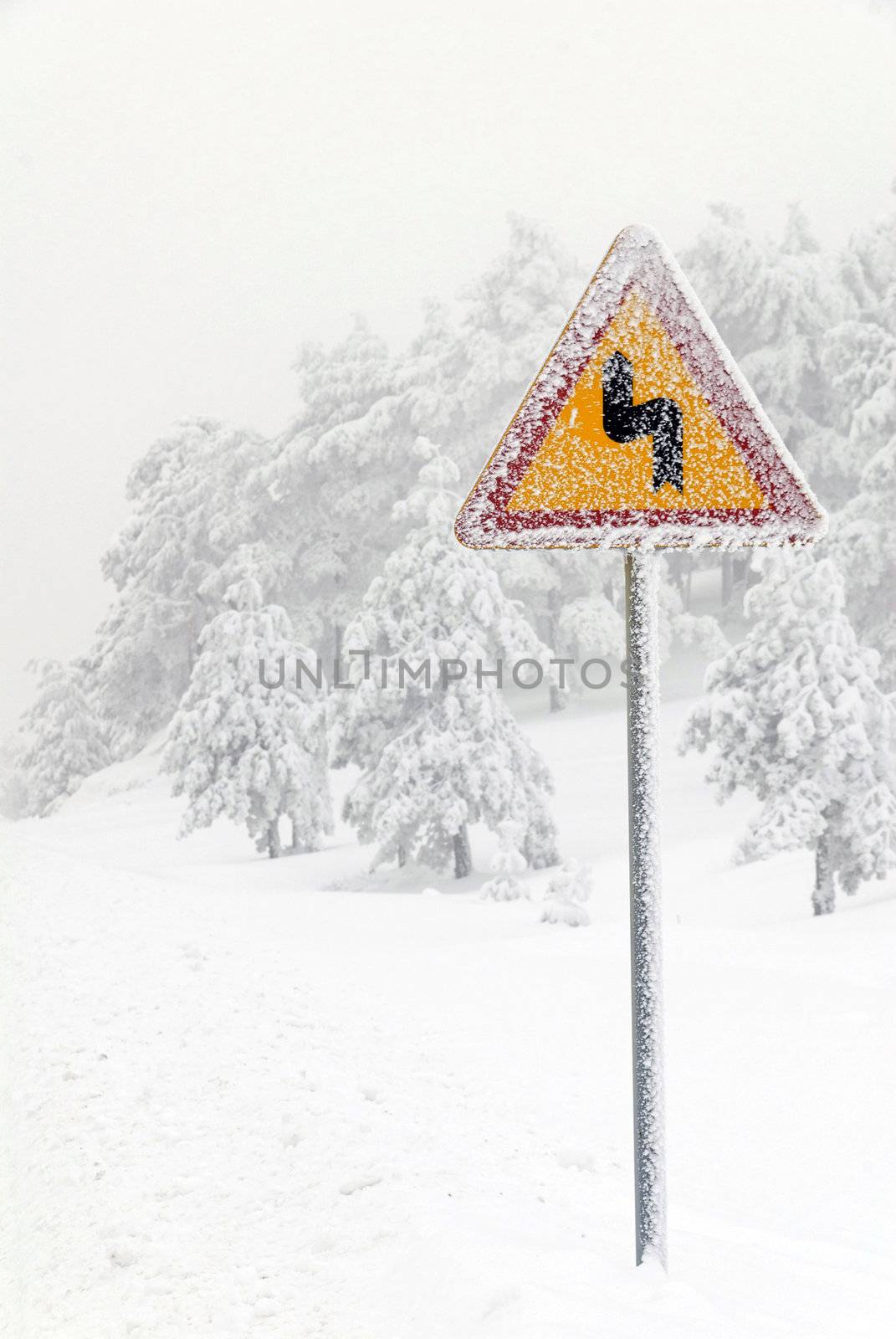 Traffic road sign in frost and snow