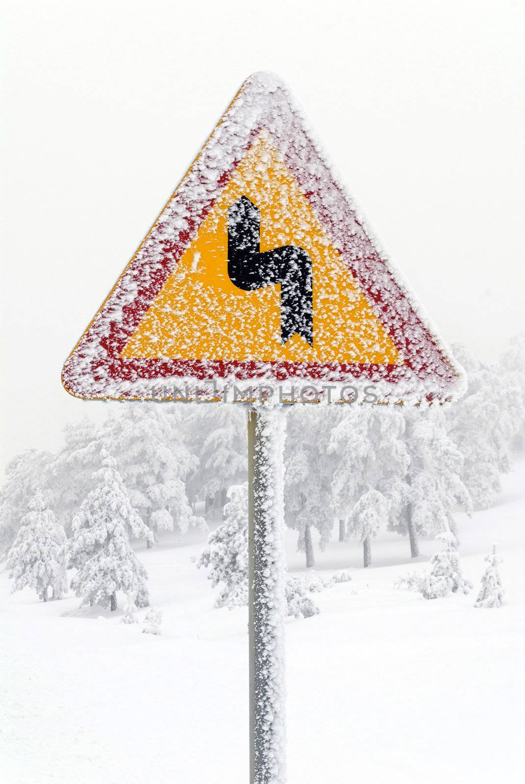 Traffic road sign in frost and snow