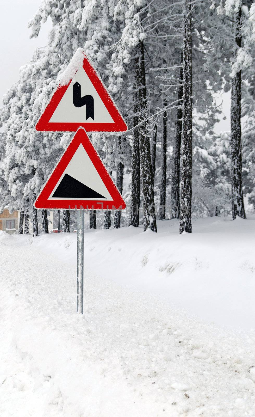 Traffic road sign in frost and snow
