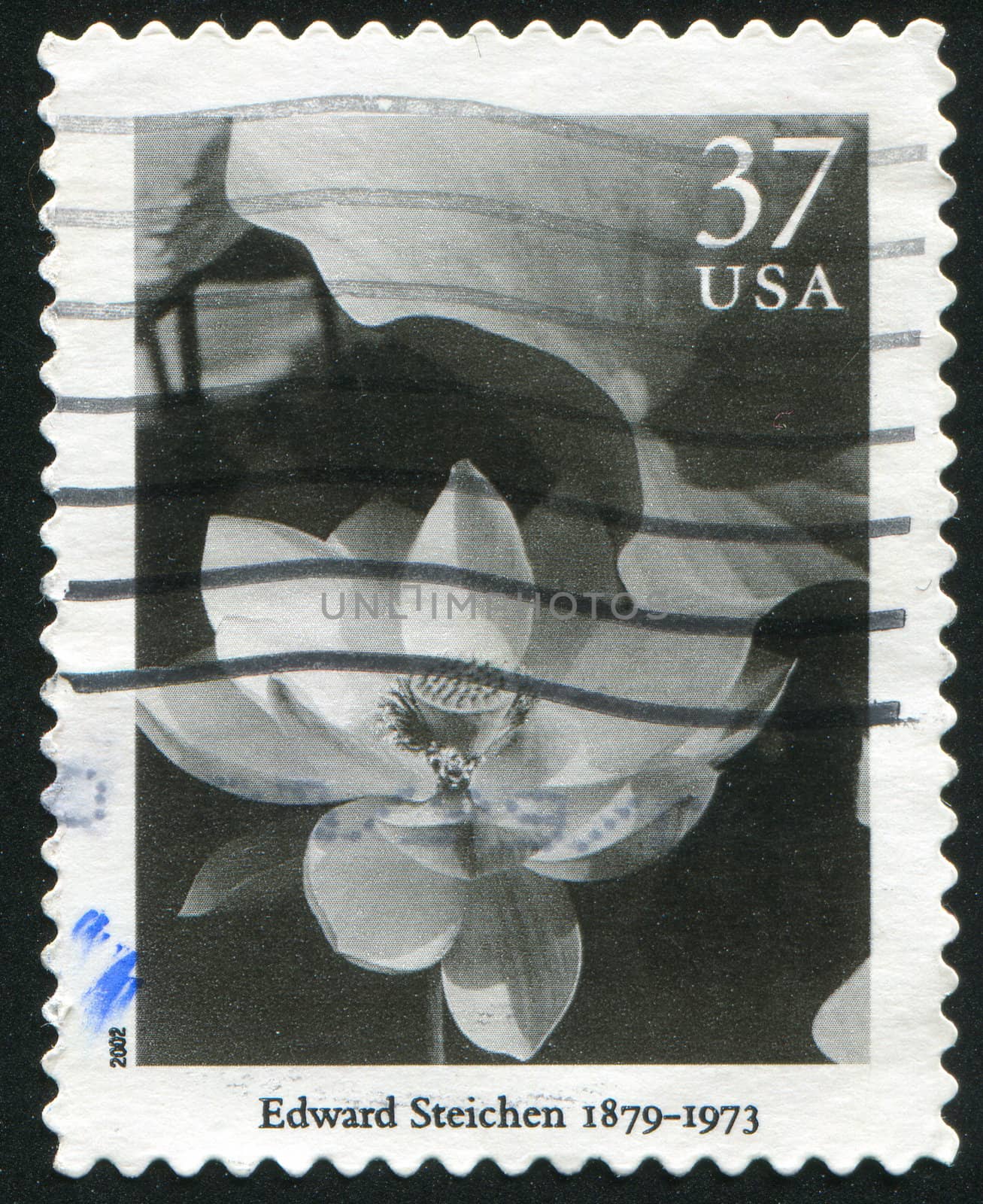 UNITED STATES - CIRCA 2002: stamp printed by United states, shows flower, circa 2002