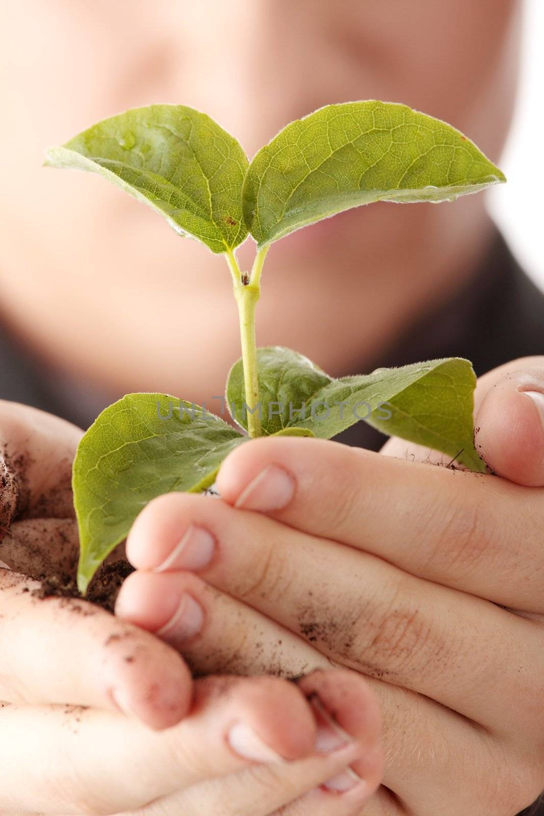 Businessman in dark suit holding smal plant in his hands - growth concept