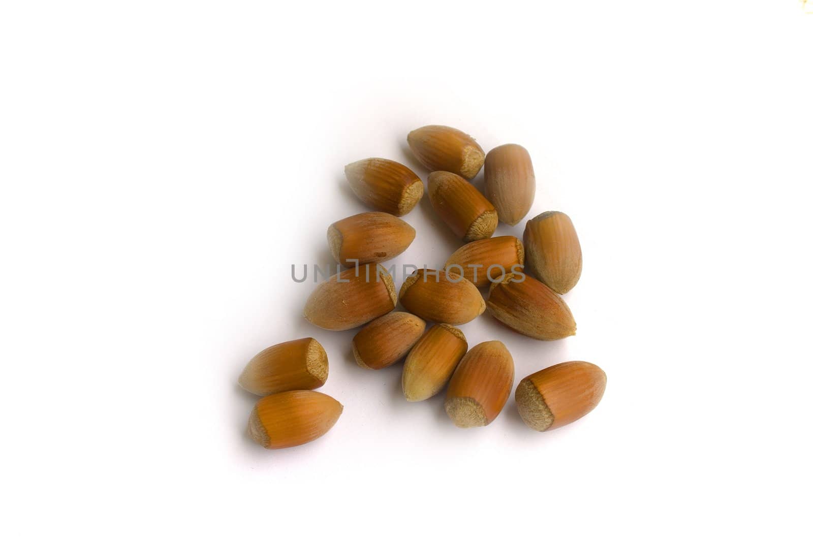 hazelnuts isolated on white background