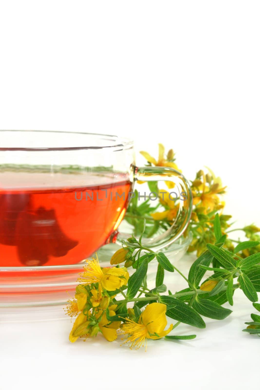 a cup of St. John's Wort Tea with fresh flowers