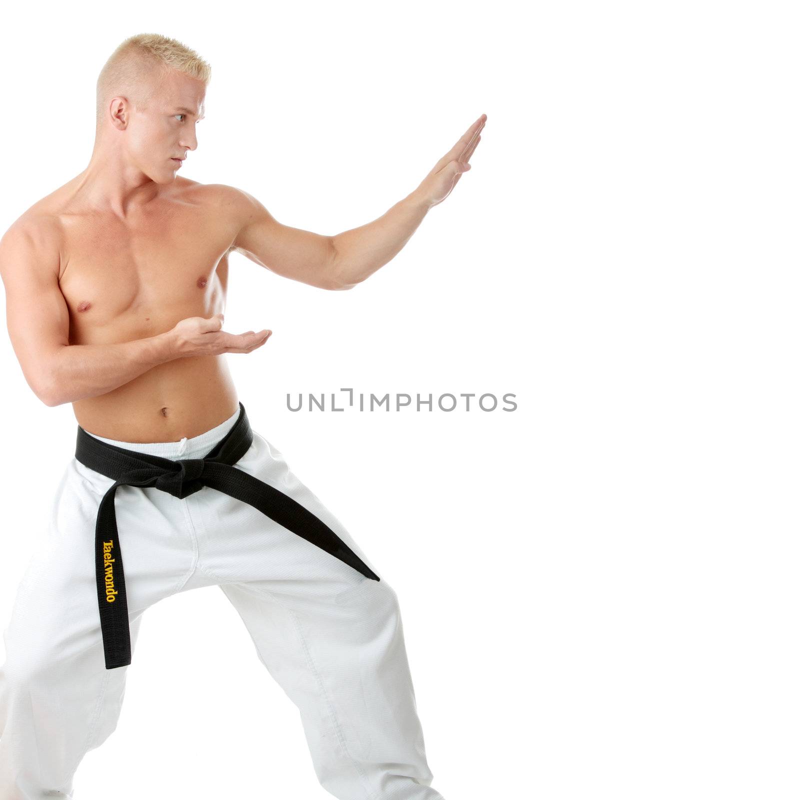 Taekwondo fighter isolated on white background