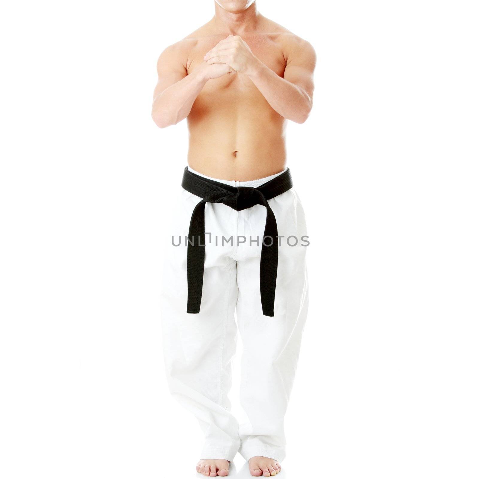 Taekwondo fighter isolated on white background