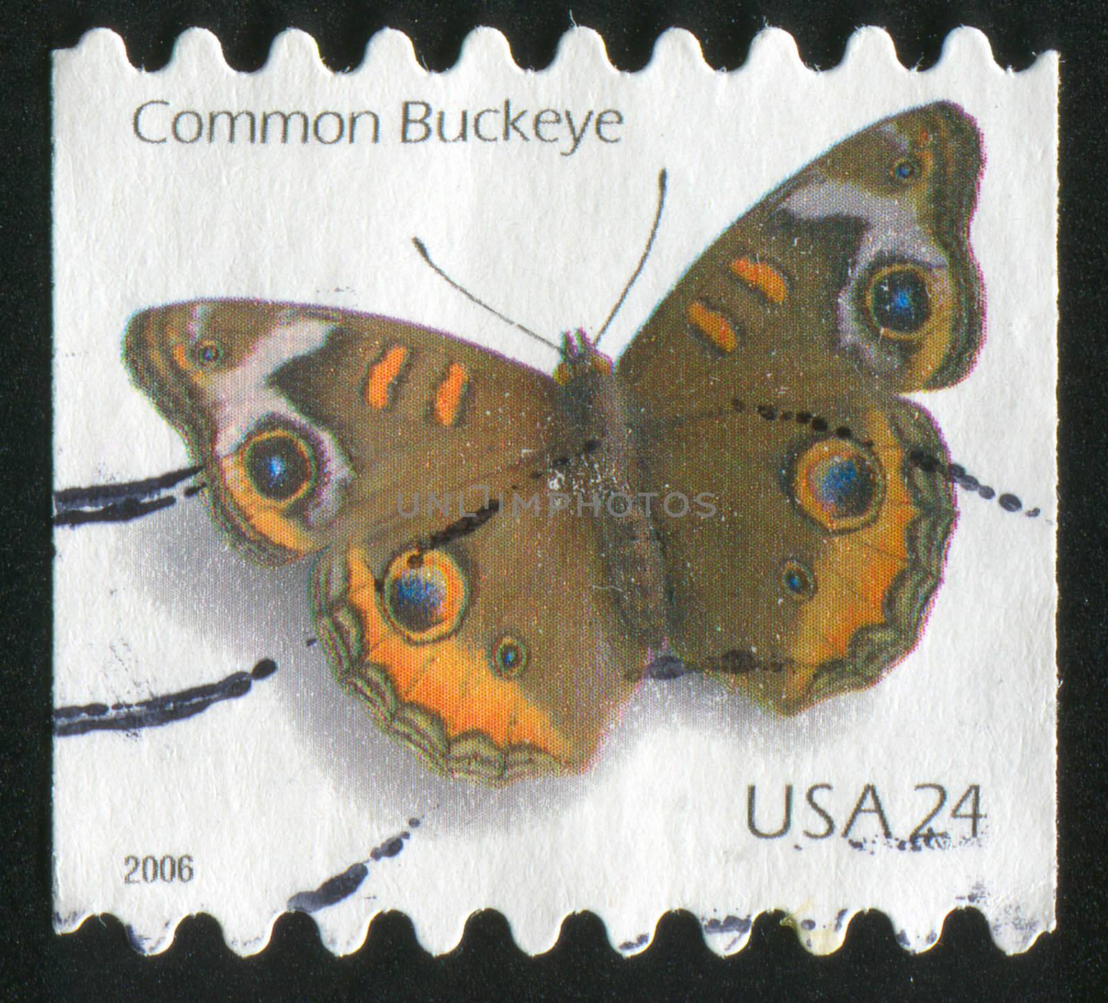 UNITED STATES - CIRCA 2006: stamp printed by United states, shows butterfly, circa 2006