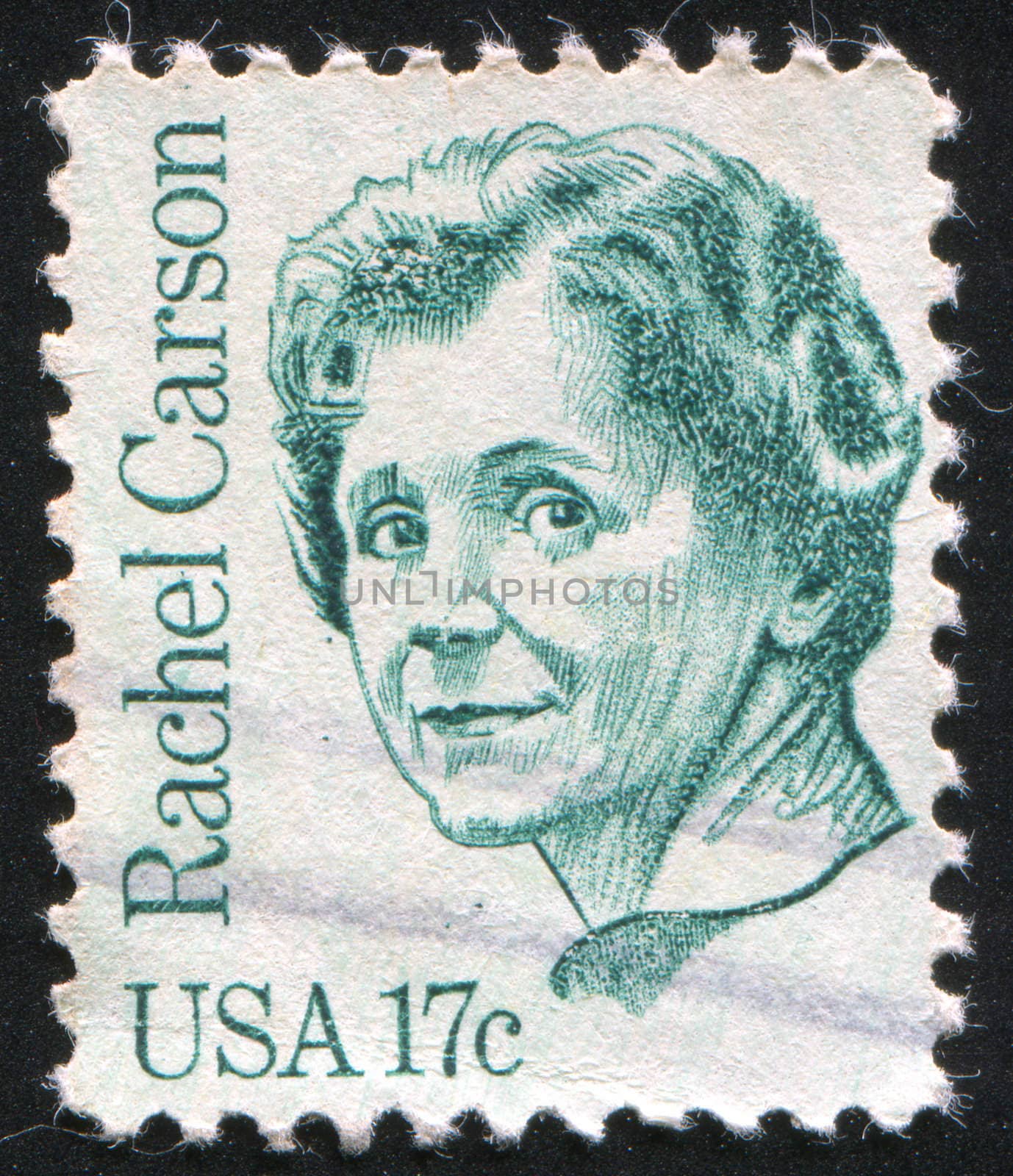 Rachel Carson by rook