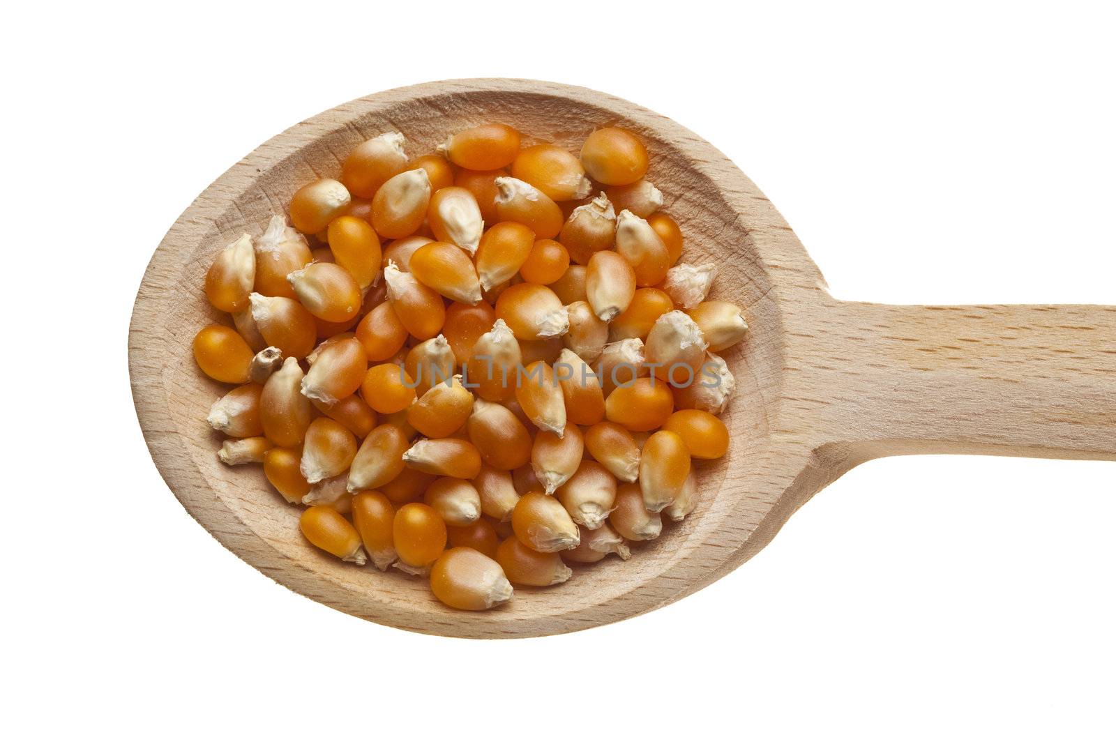 Herbs and spices on wooden spoons - corn