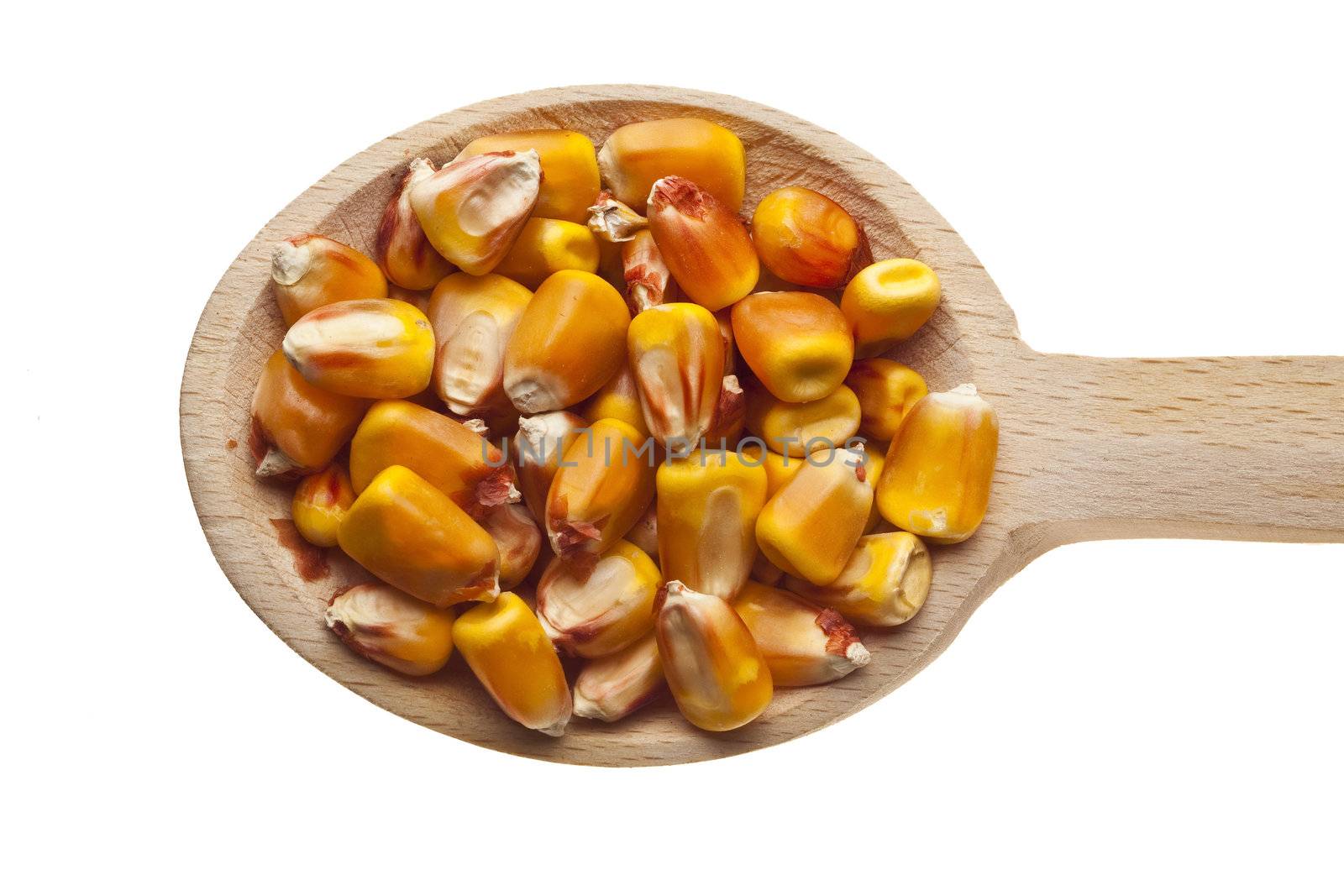 Herbs and spices on wooden spoons - corn