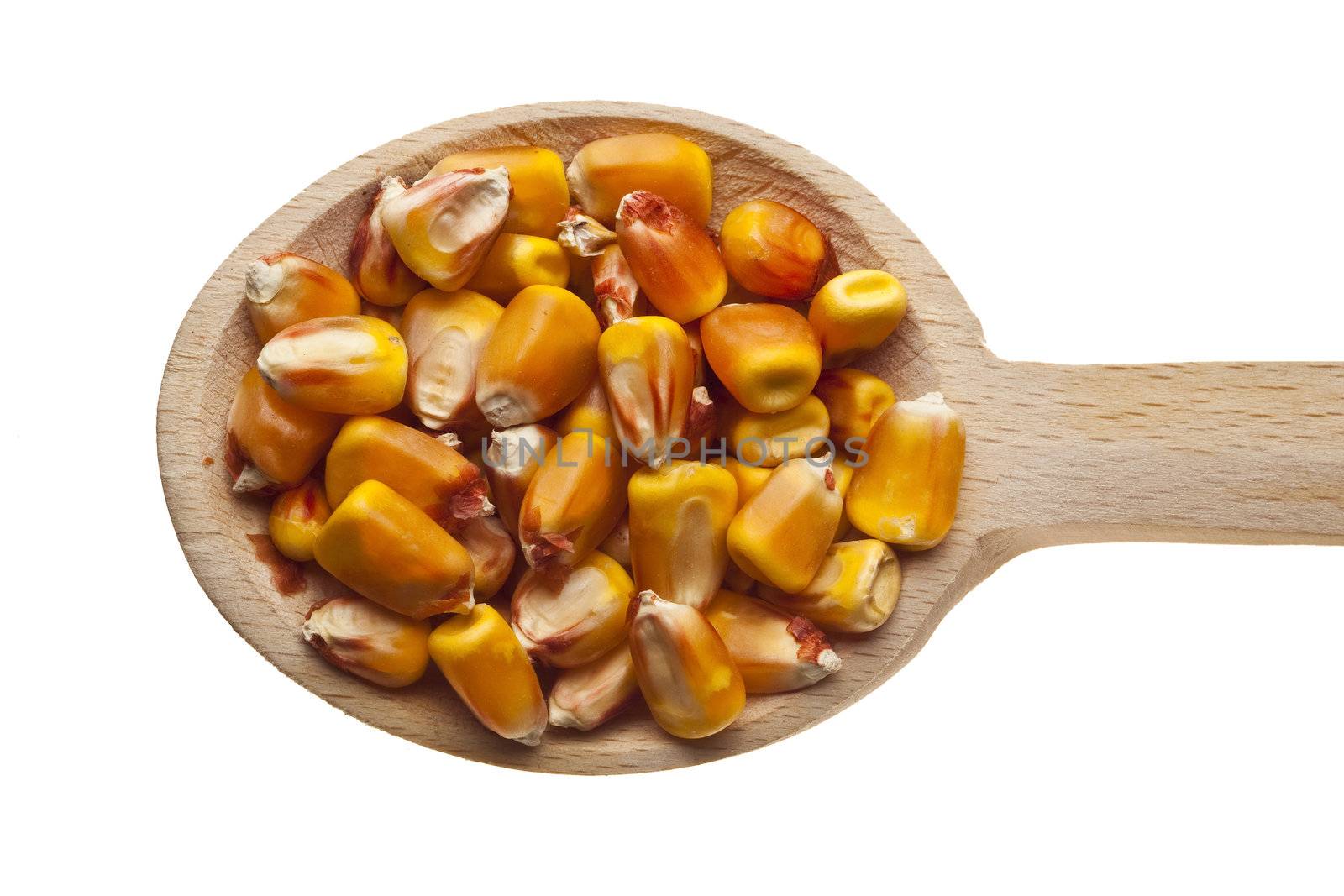 Herbs and spices on wooden spoons - corn