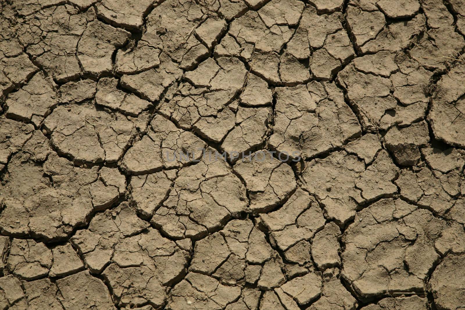 detail of dry broken soil in a desert