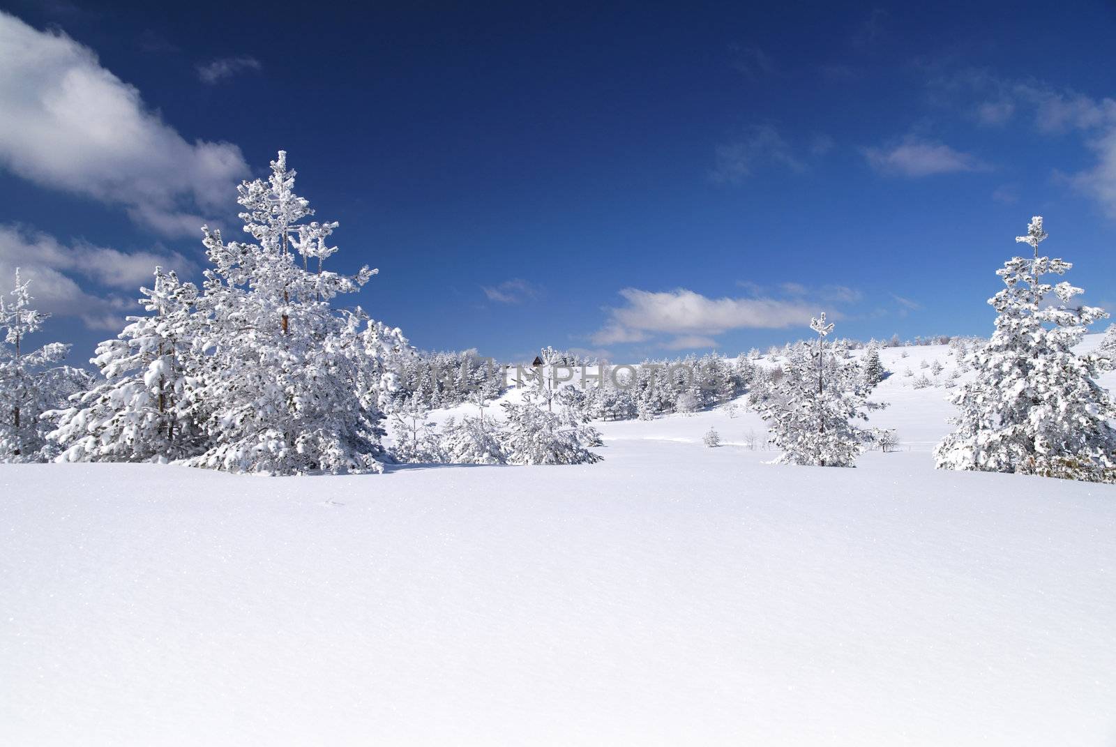 Mountain Winter Idyllic Scene