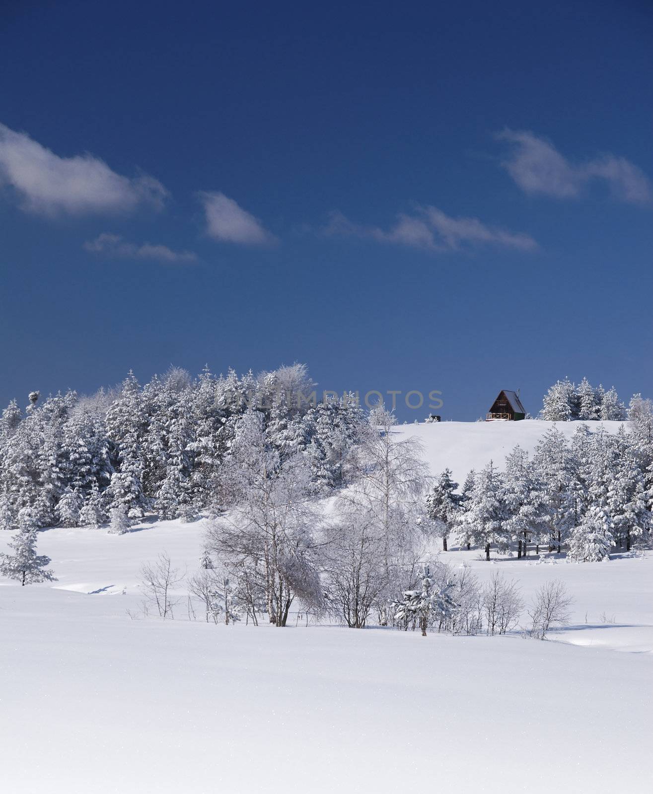 Litle House on Hill - Winter Scene by adamr