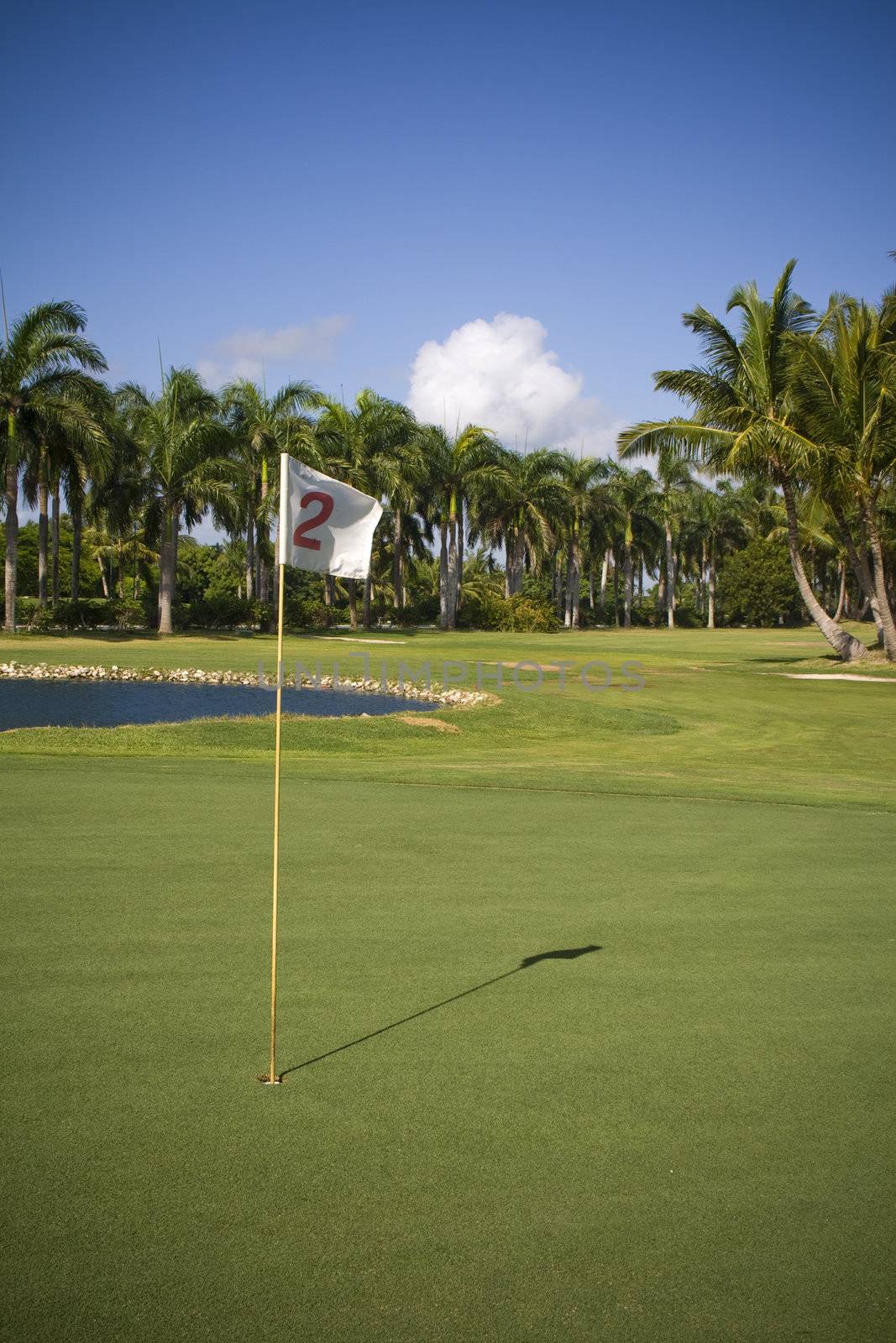 Flag number two in a golf course