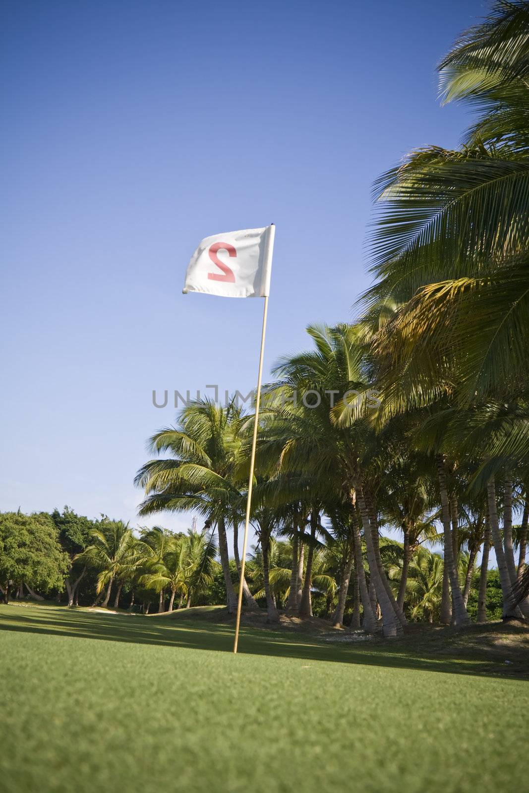 Flag number two in a golf course 