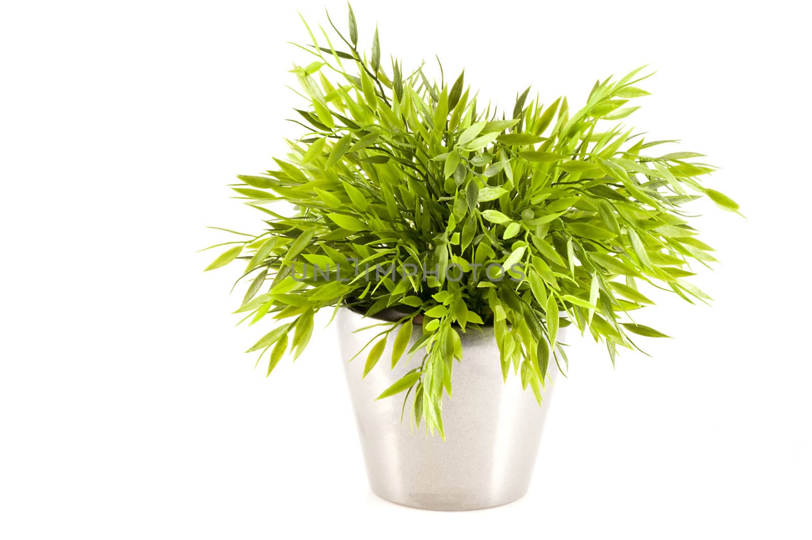 Green fake plant in silver pot on a white background.