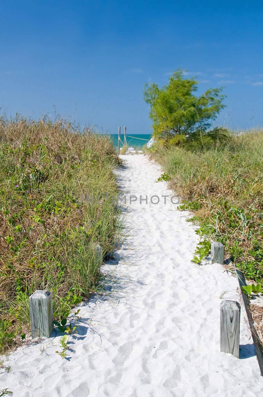 Beach and ocean scenics for vacations and summer getaways