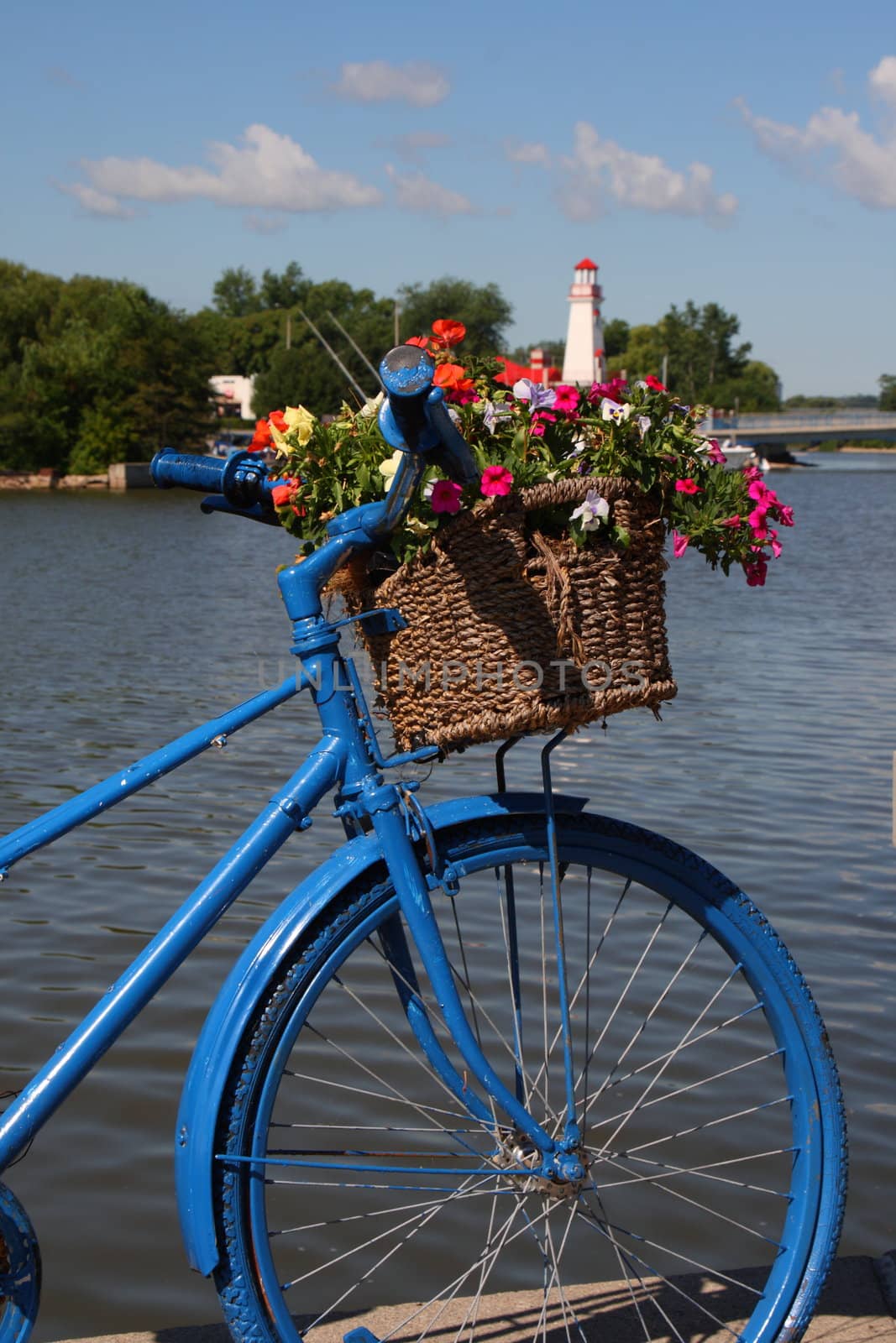 bicycle flower bed display art