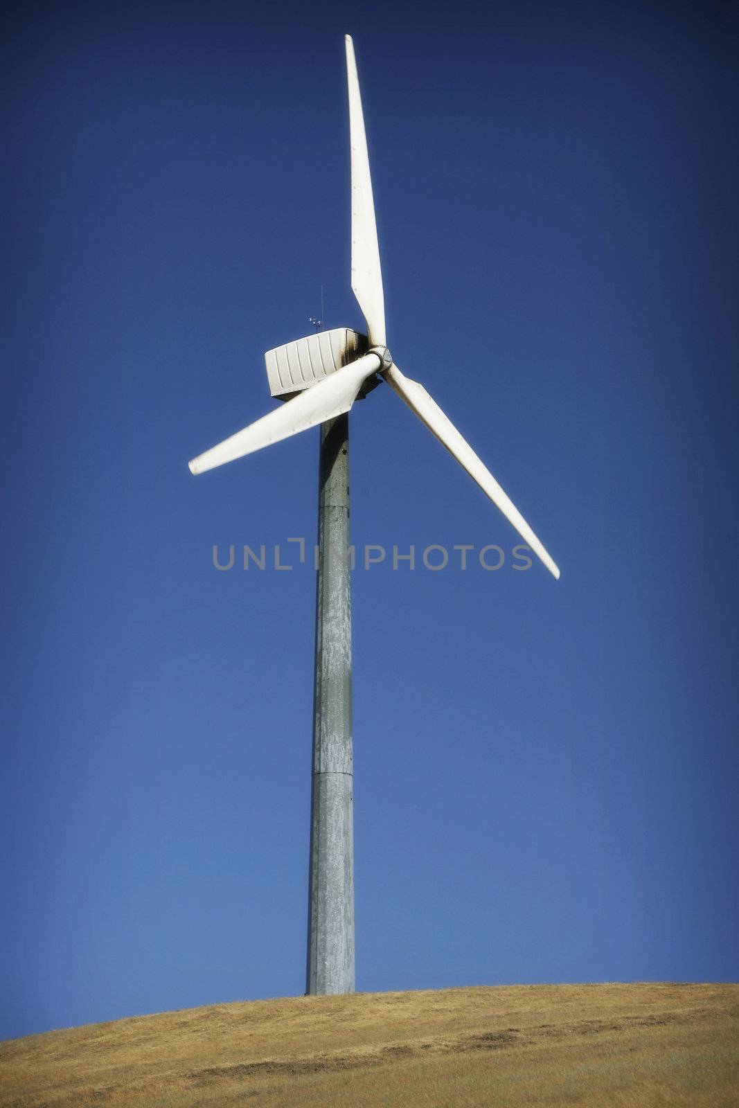 Windmill by RainerPlendl
