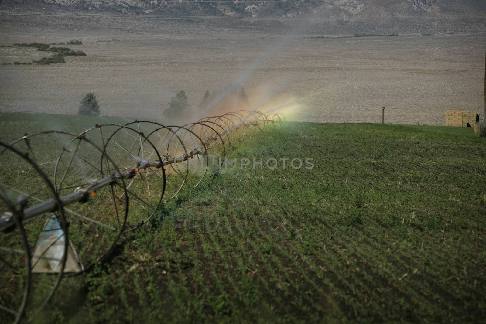 agricultural irrigation system with rainbow