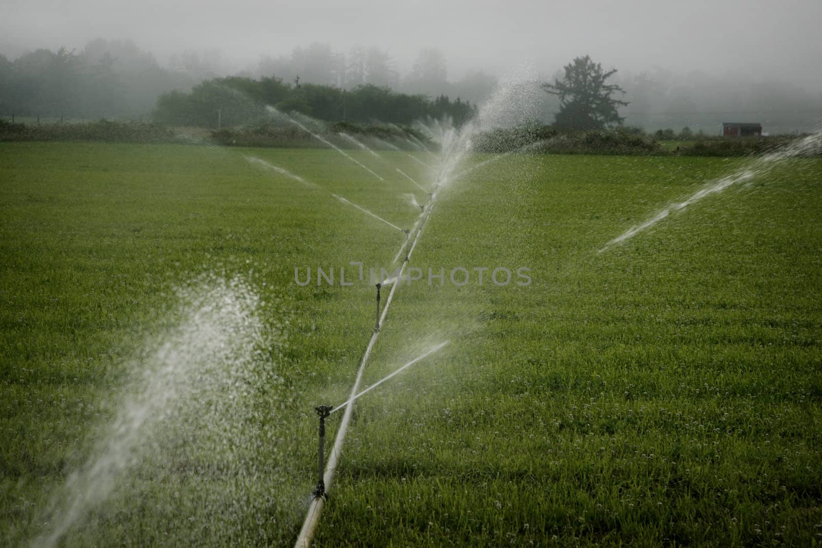 irrigation system for an agricultural field