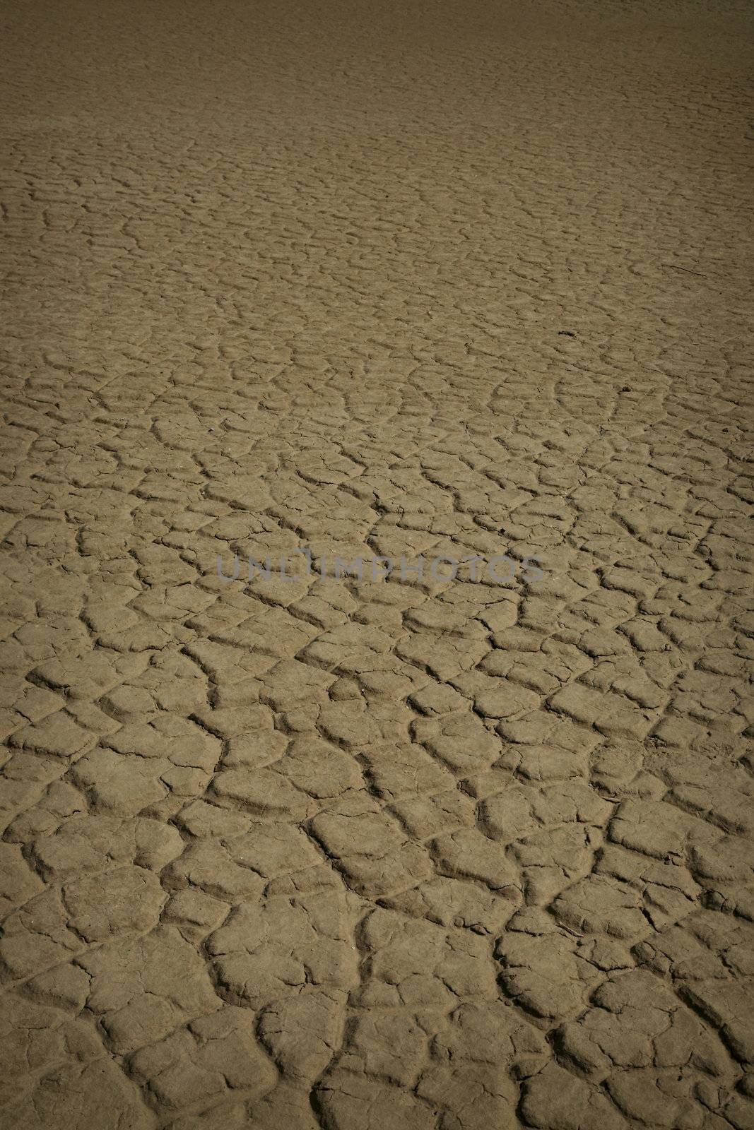 dry soil in a desert 