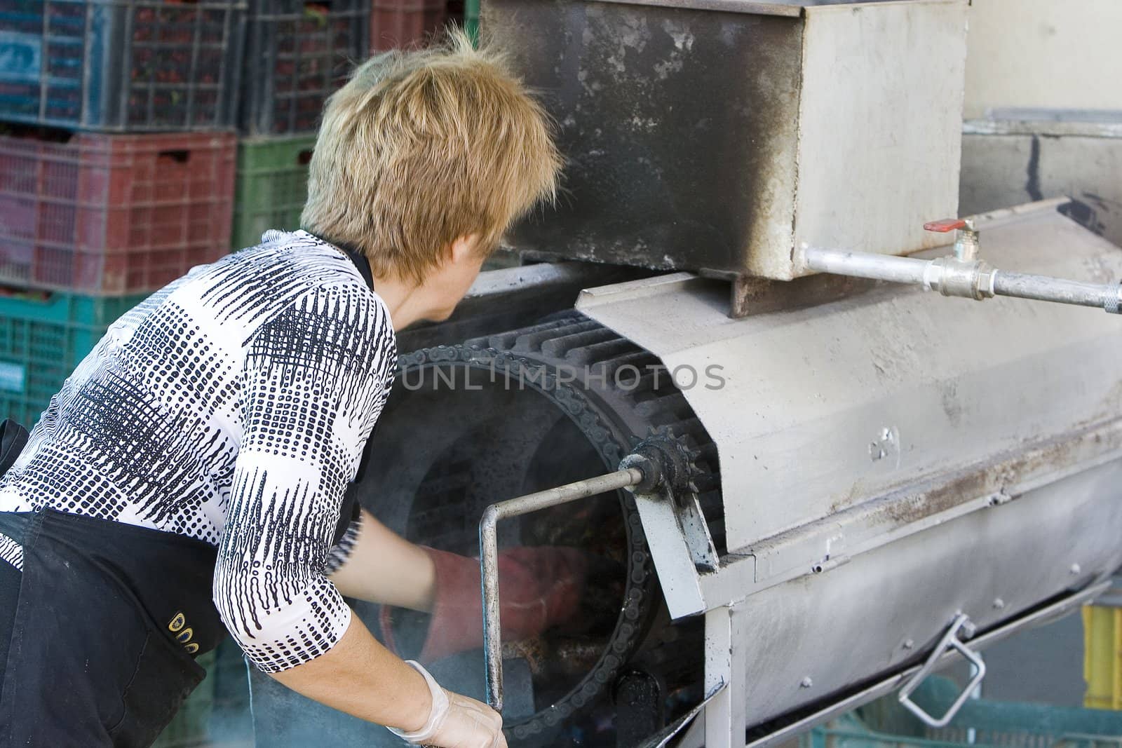 image of an oven used for cooking peppers in spain