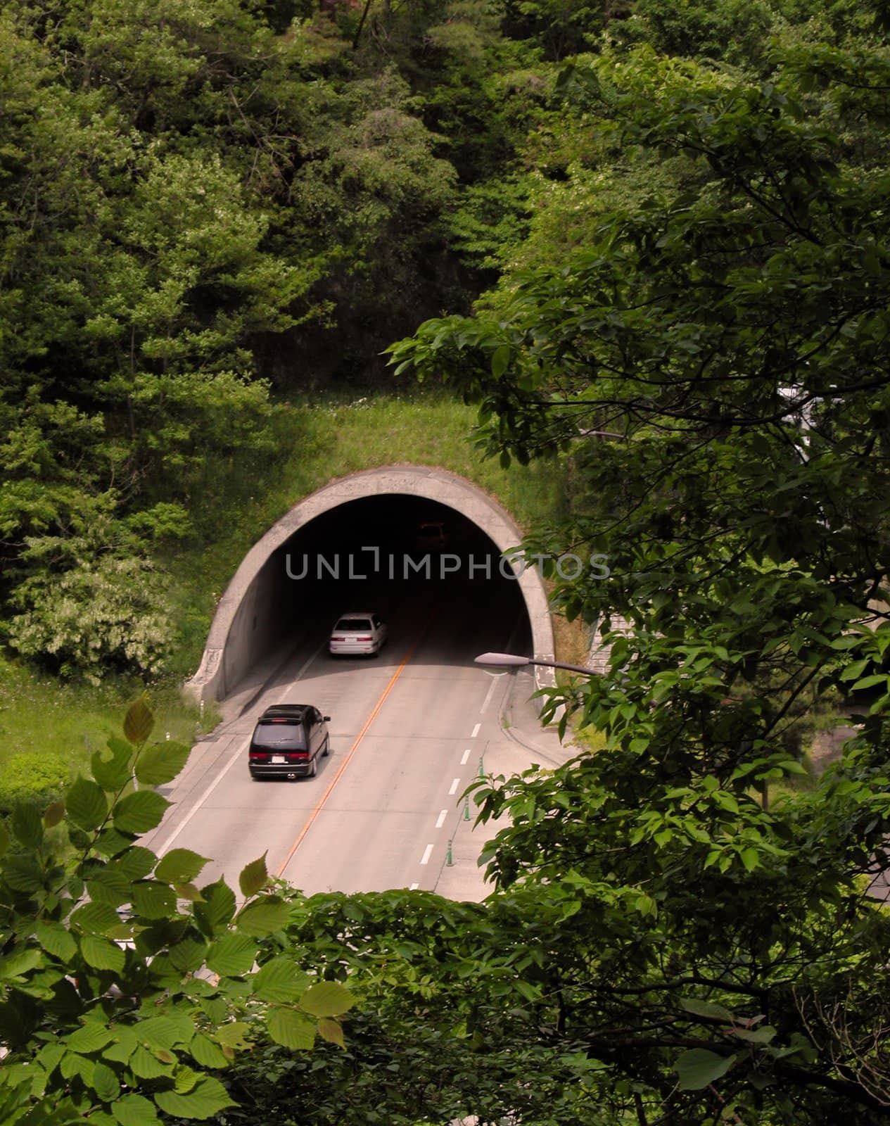 Road tunnel in a forest.          