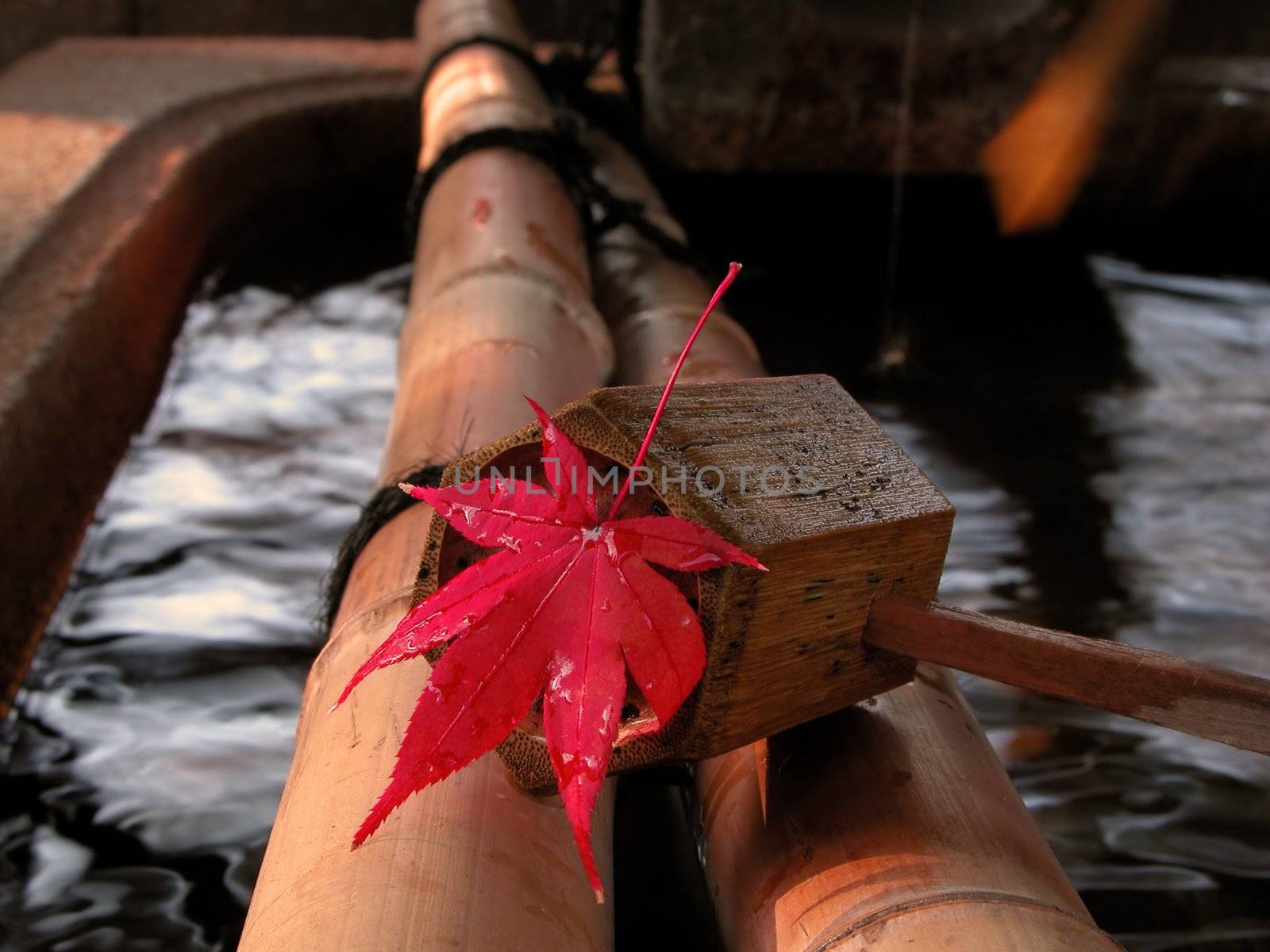 Close-up of a wet mapple leaf  on a bamboo ladle at a Japanese fountain-very specific Japanese still life image with a lot of potential for touristic pamflets about Japan. Selective focus on the leaf.     