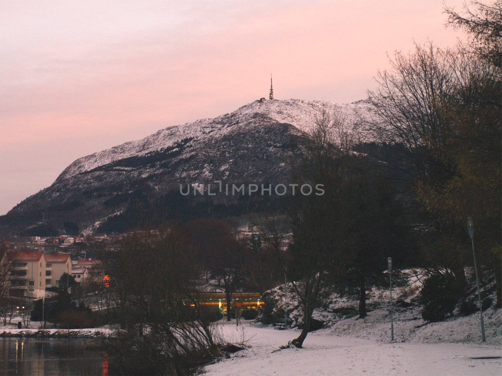 winter in Bergen by viviolsen