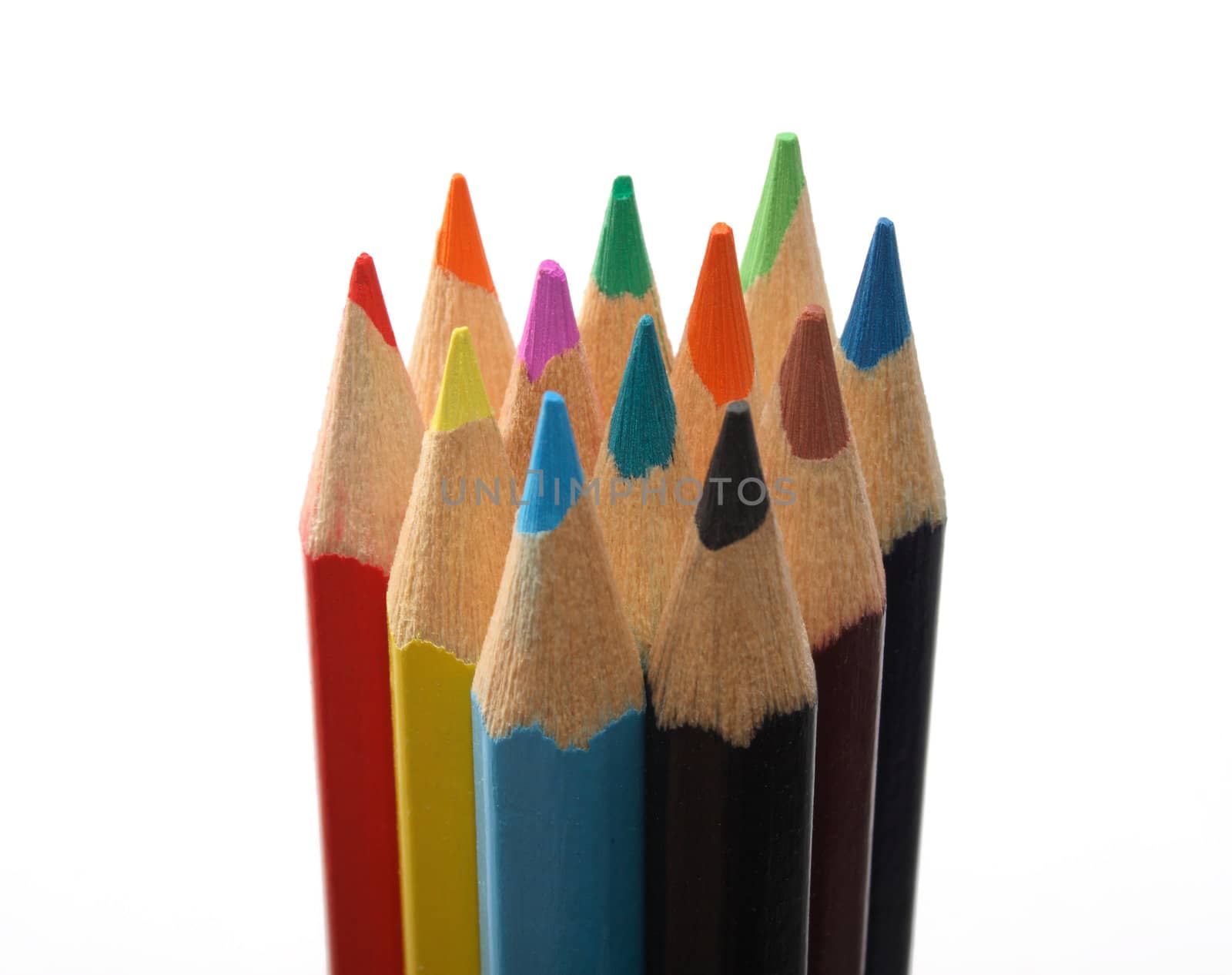 Set of colored wooden pencils upright over white