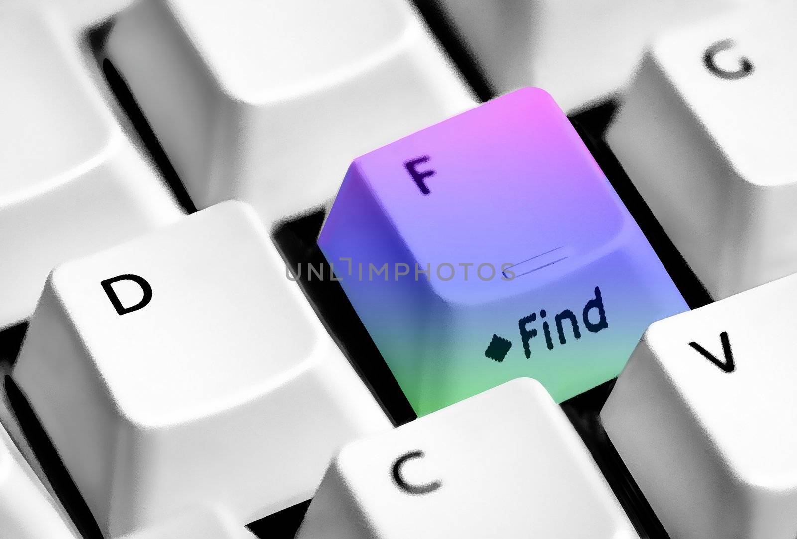 Find Search Key by Markjay